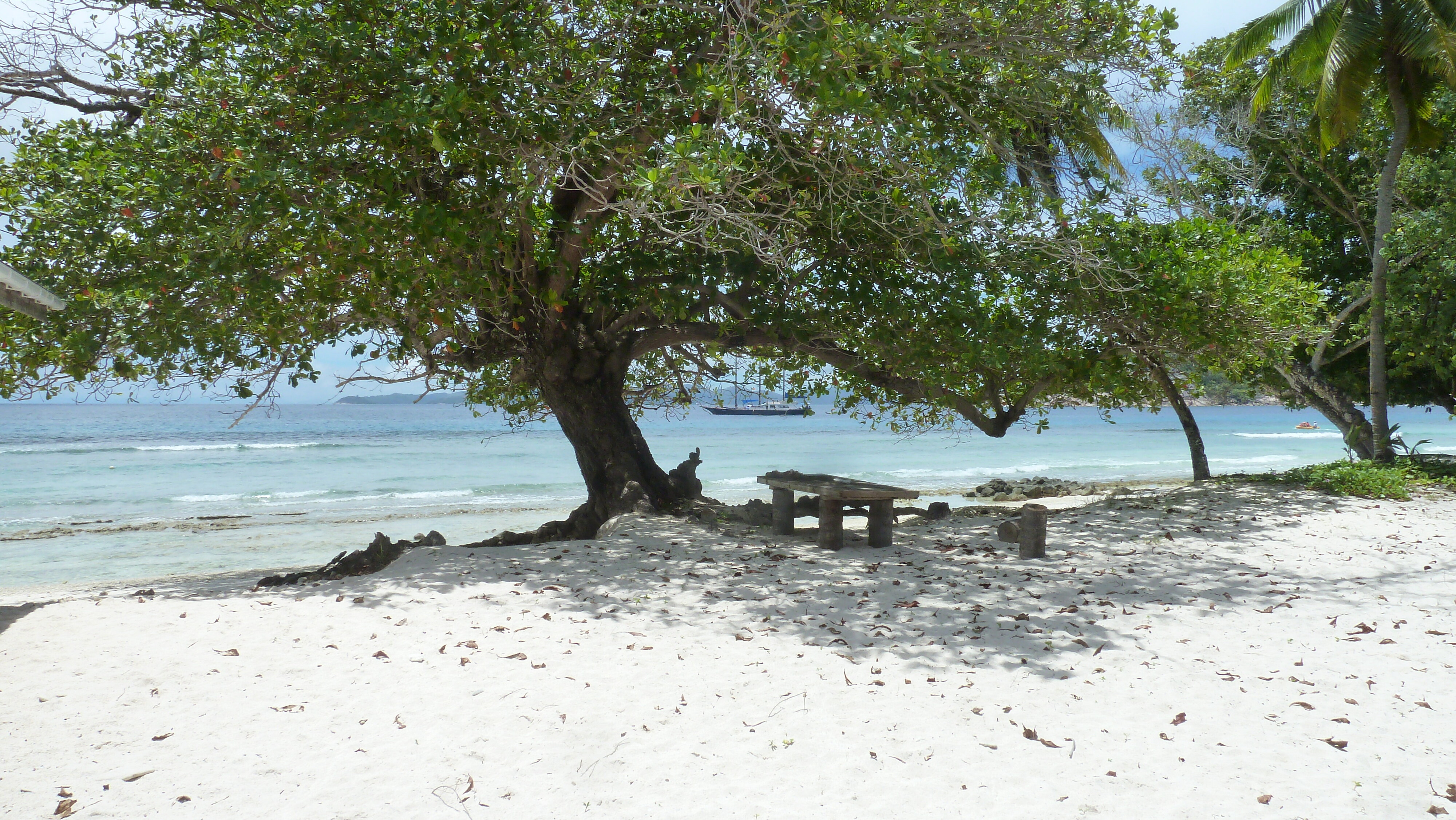 รูปถ่าย เซเชลส์(Seychelles) เกาะกร็องด์เซอร์(Grande Soeur) 2011-10 112