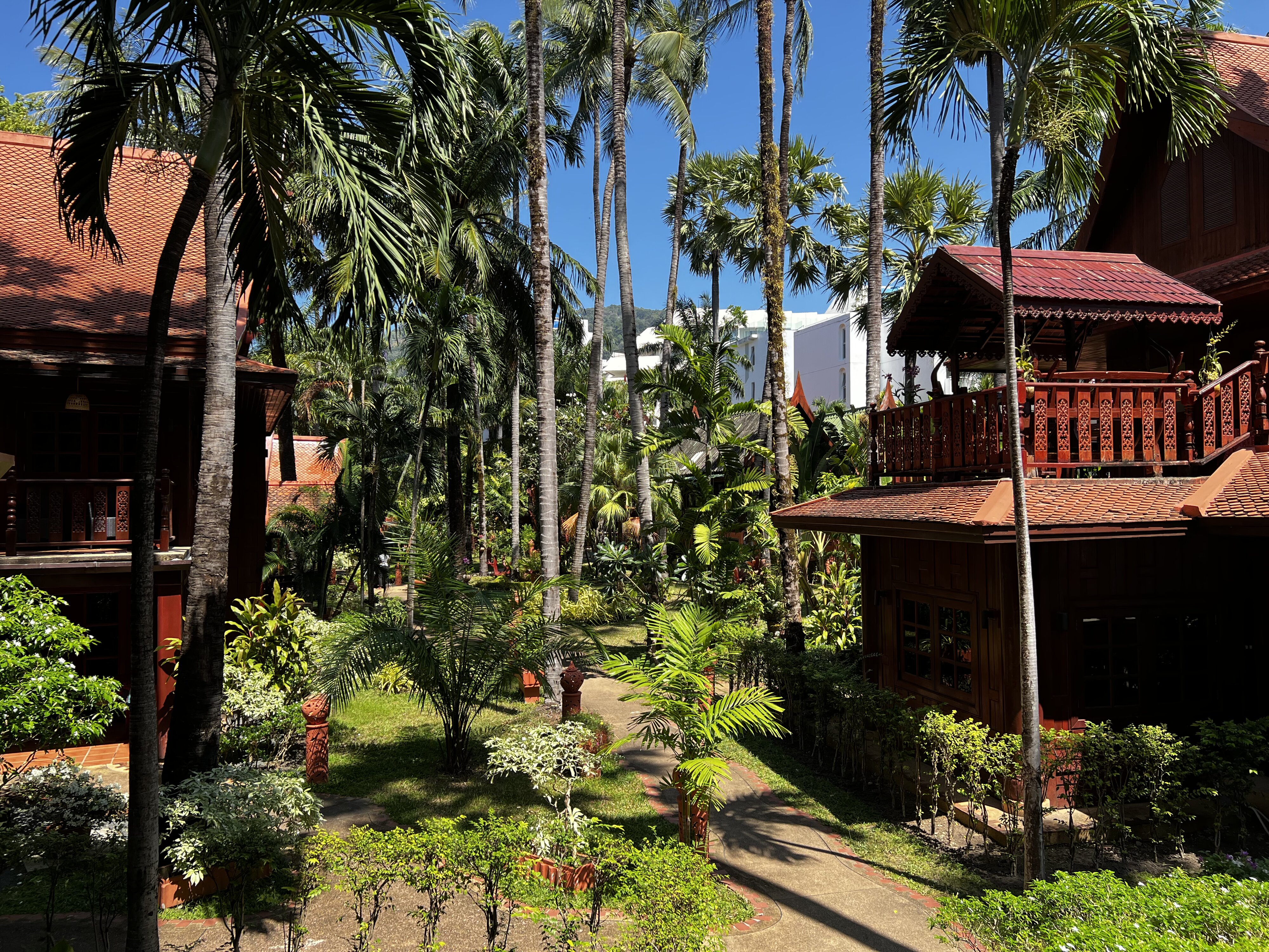 รูปถ่าย ไทย(Thailand) ภูเก็ต(Phuket) ป่าตอง(Patong) โรงแรมรอยัลภาวดีวิลเลจ(Royal Phawadee Village Hotel) 2021-12 67