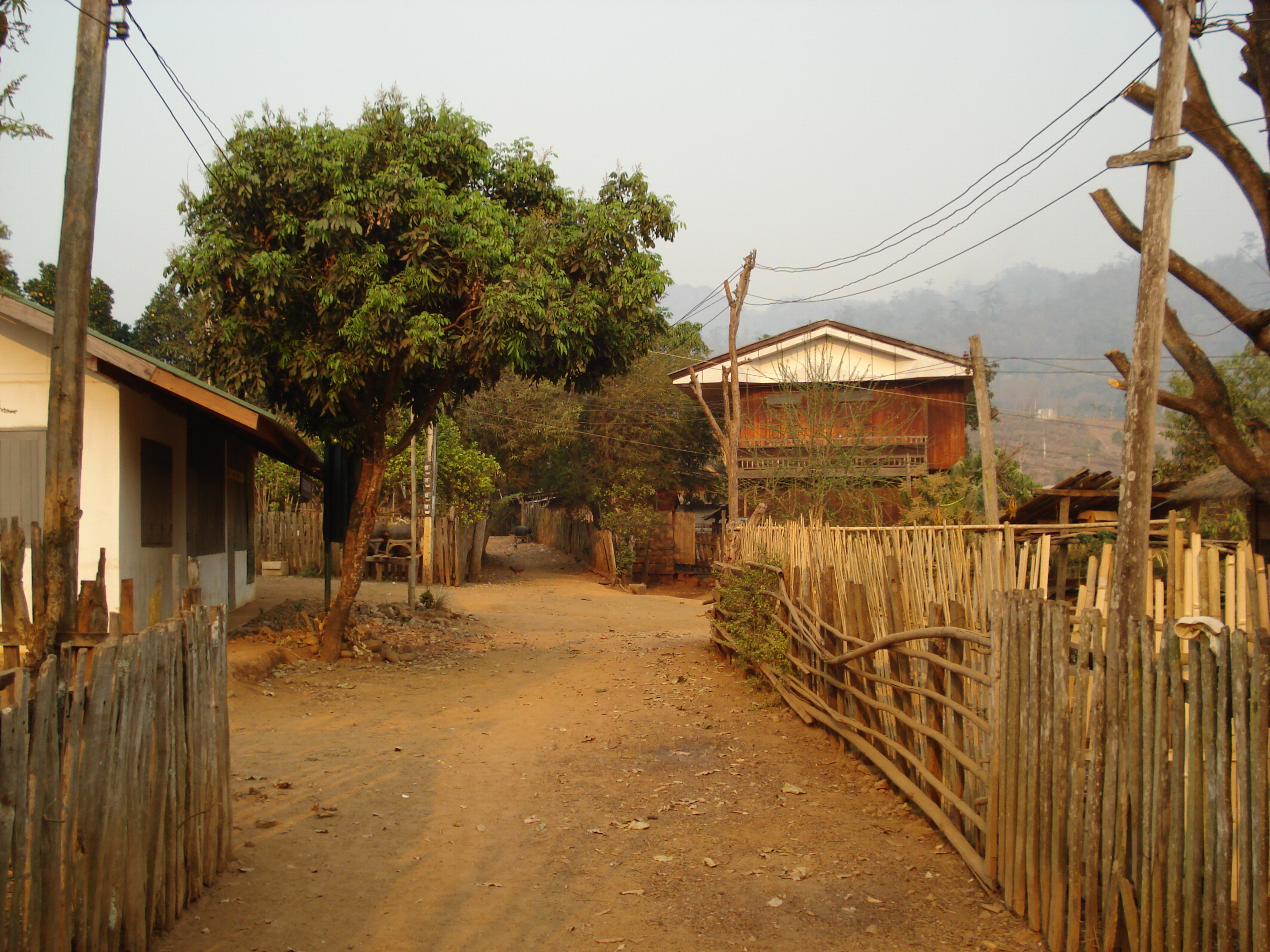 รูปถ่าย ไทย(Thailand) ปางมะผ้า(Pang Mapha) 2007-02 84