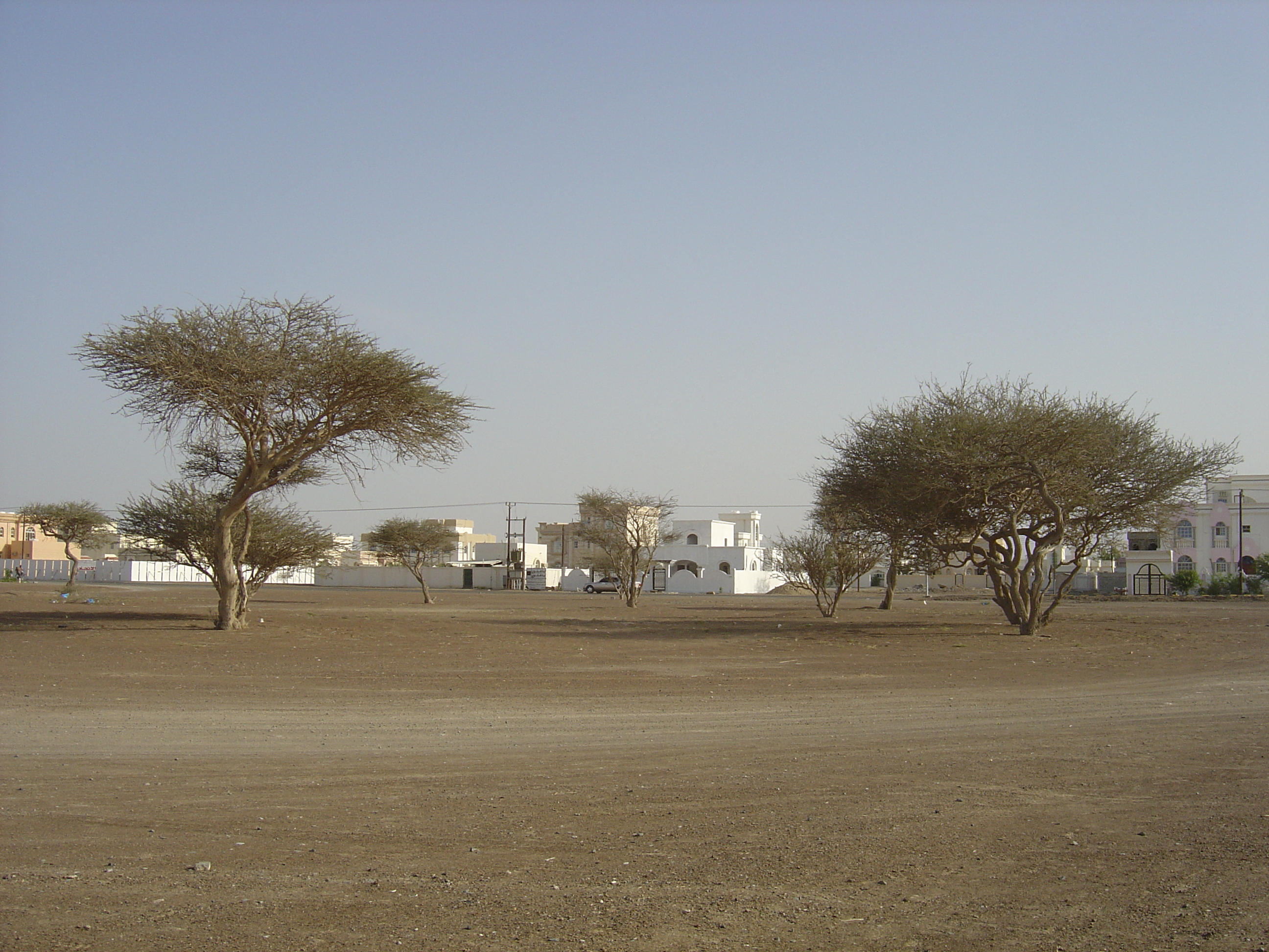 รูปถ่าย โอมาน(Oman) บูไรมิ(Buraimi) 2005-03 4