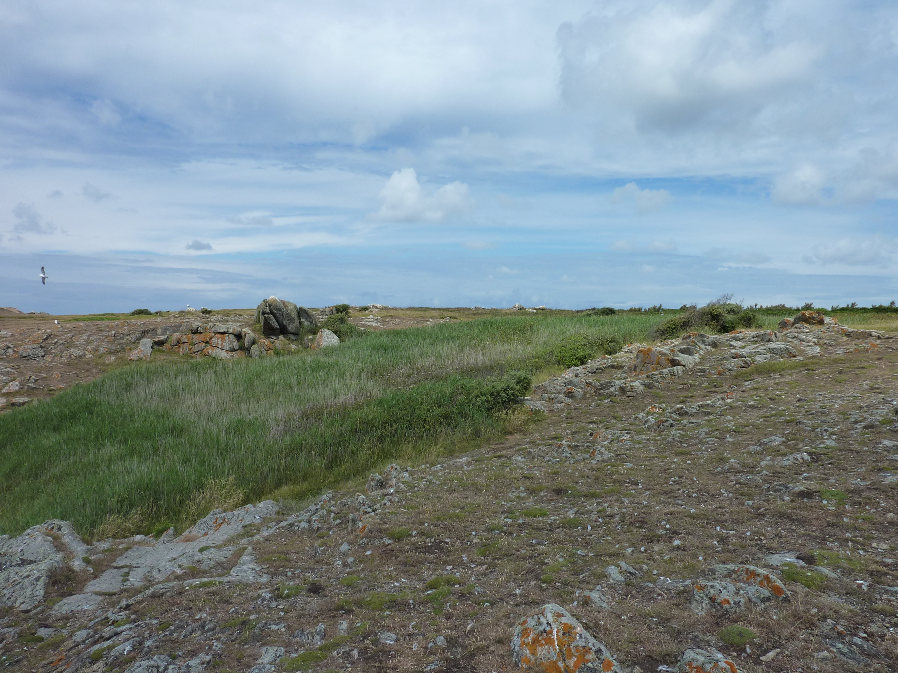 รูปถ่าย ฝรั่งเศส(France) เกาะดีเยอ(Ile d'yeu) 2009-07 99