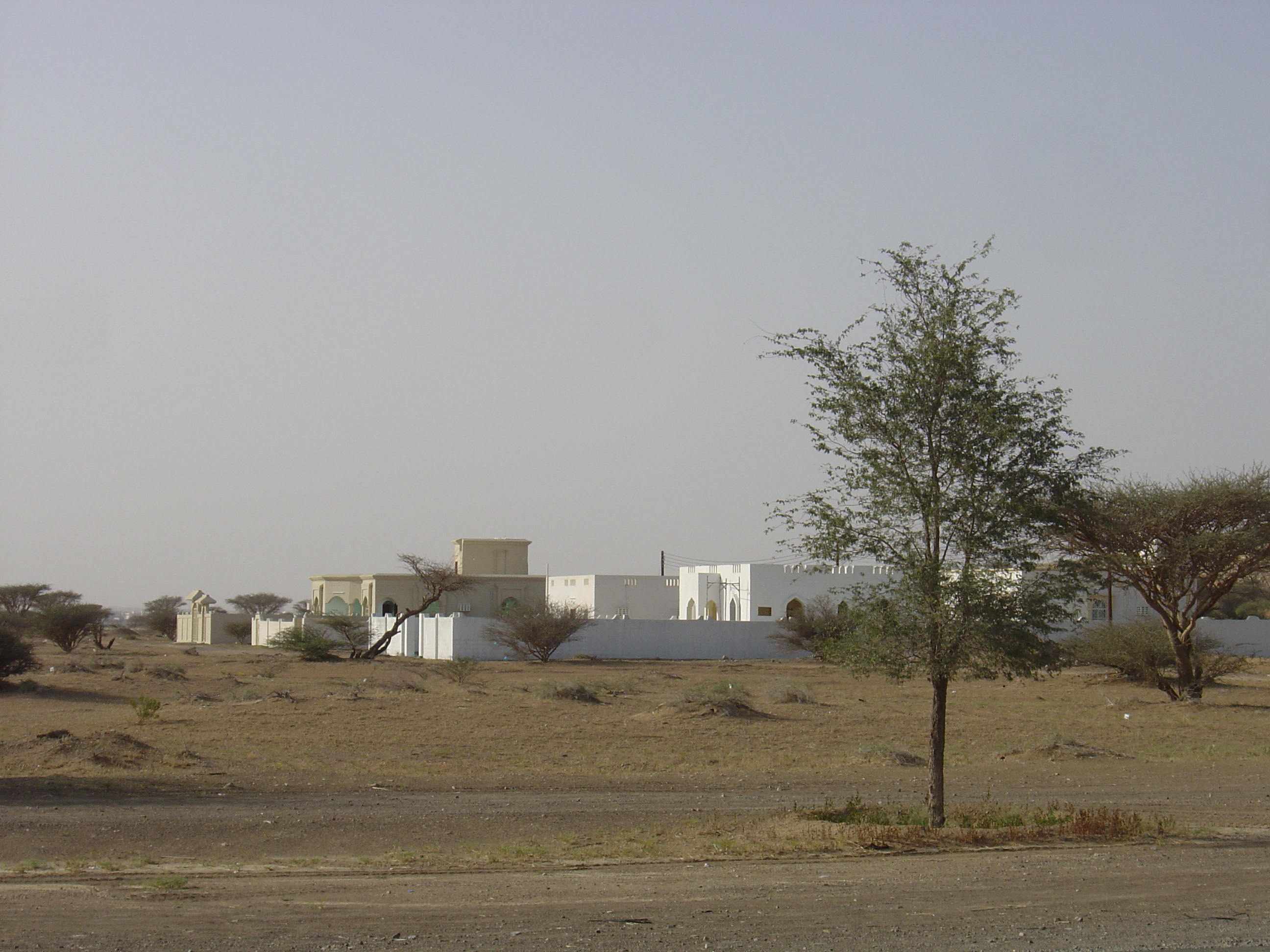 รูปถ่าย โอมาน(Oman) บูไรมิ(Buraimi) 2005-03 1