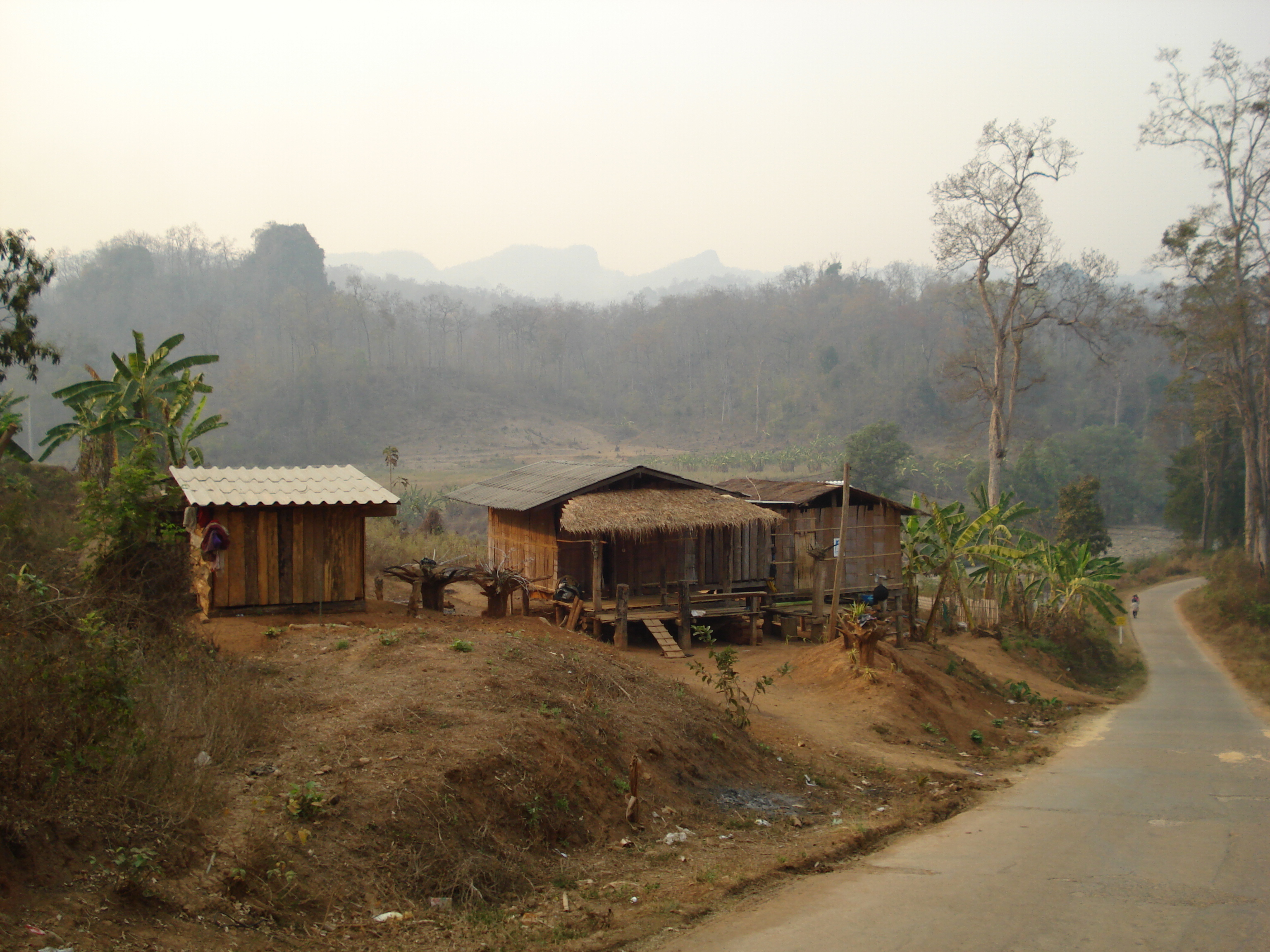 รูปถ่าย ไทย(Thailand) ปางมะผ้า(Pang Mapha) 2007-02 132