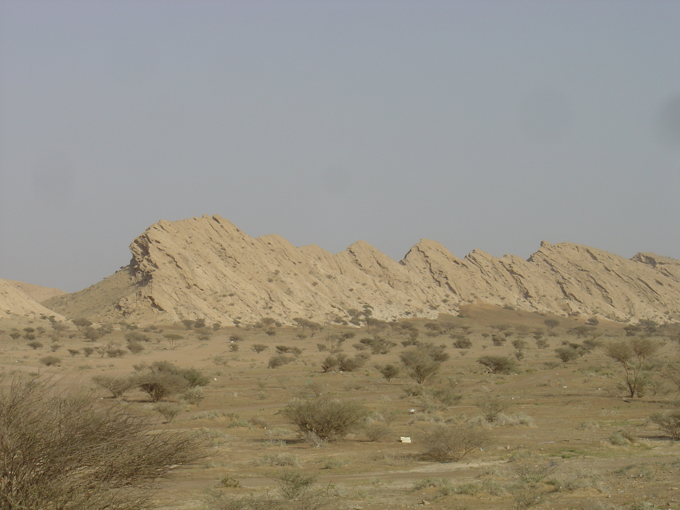 รูปถ่าย โอมาน(Oman) จากบูไมิไปถนนมาฮาดา(Buraimi to Mahada road) 2005-03 41