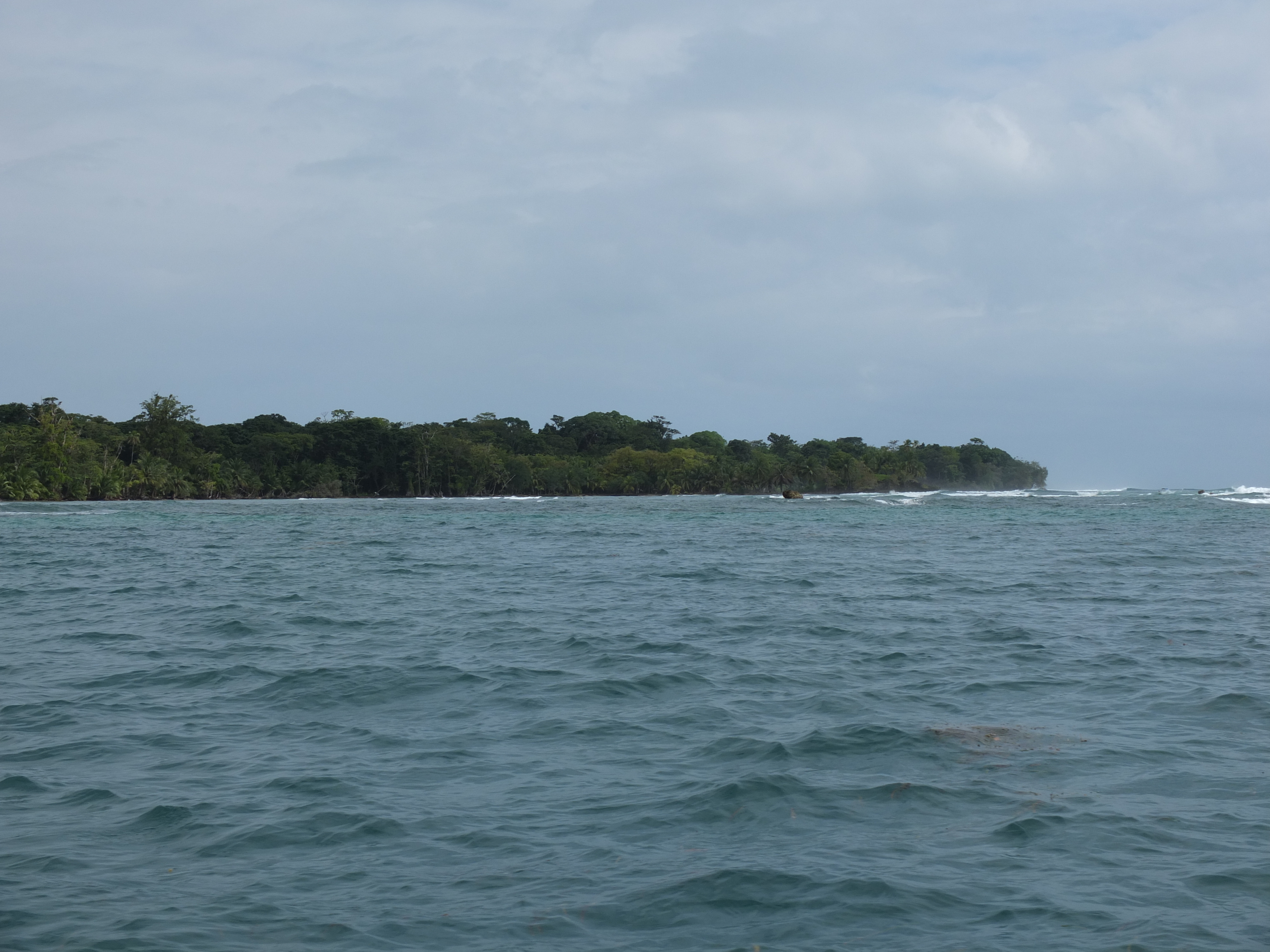รูปถ่าย ปานามา(Panama) เกาะบาสติเมนโตส(Bastimentos) 2015-03 21