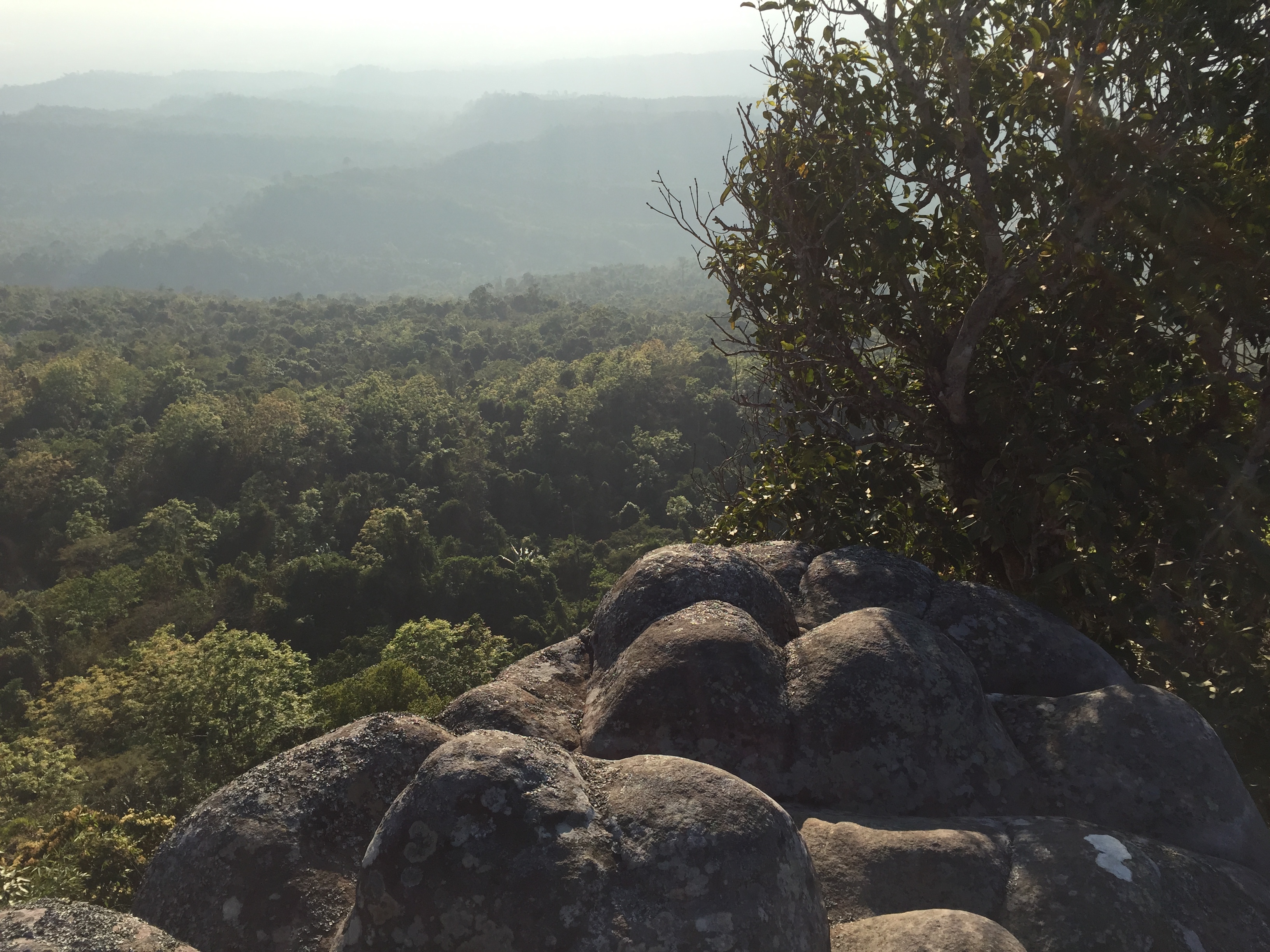 รูปถ่าย ไทย(Thailand) อุทยานแห่งชาติภูหินร่องกล้า(Phu Hin Rong Kla National Park) 2014-12 109