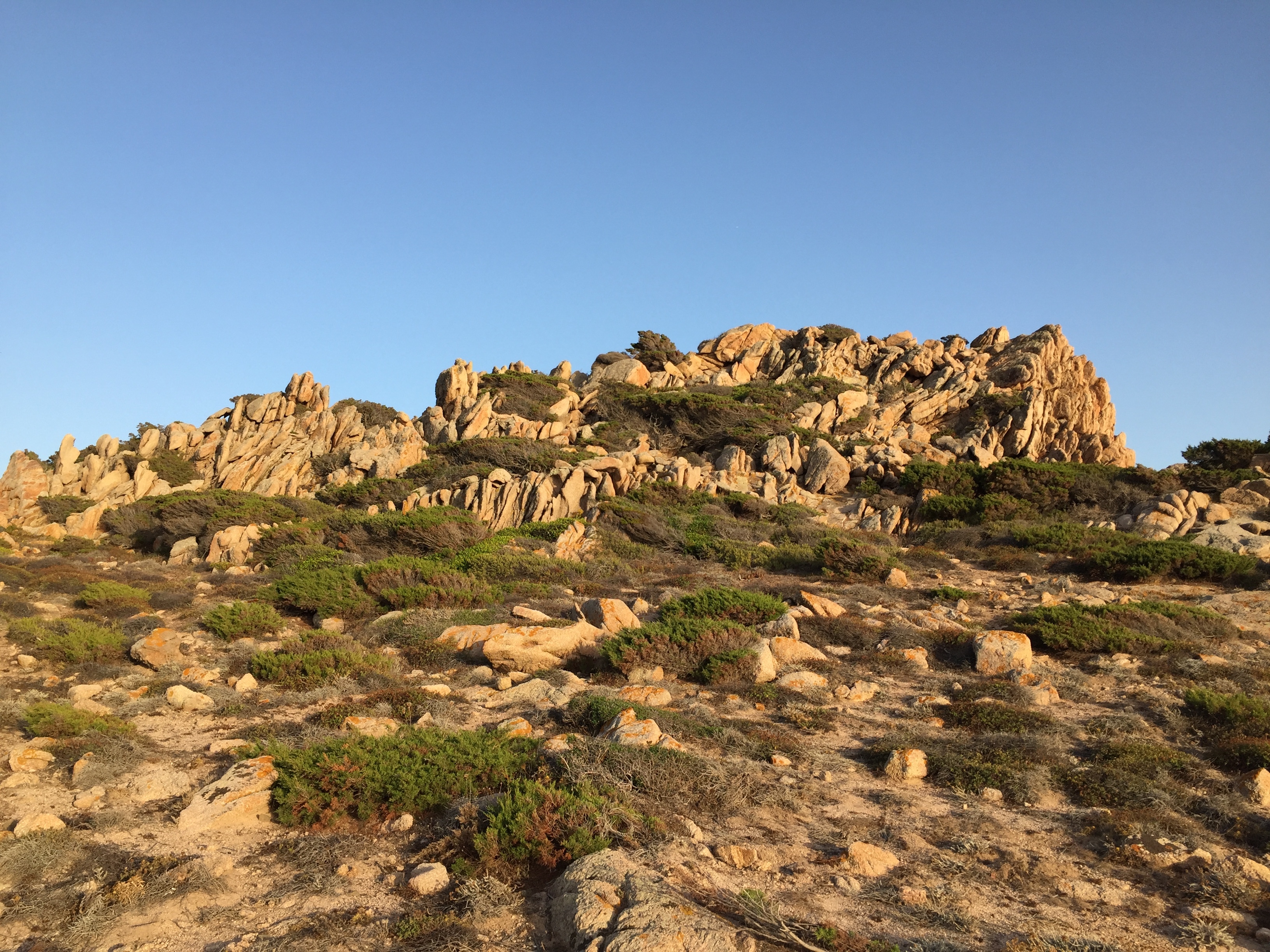 รูปถ่าย ฝรั่งเศส(France) คอร์สิคา(Corsica) หาดตอนนารา(Tonnara Beach) 2017-07 42