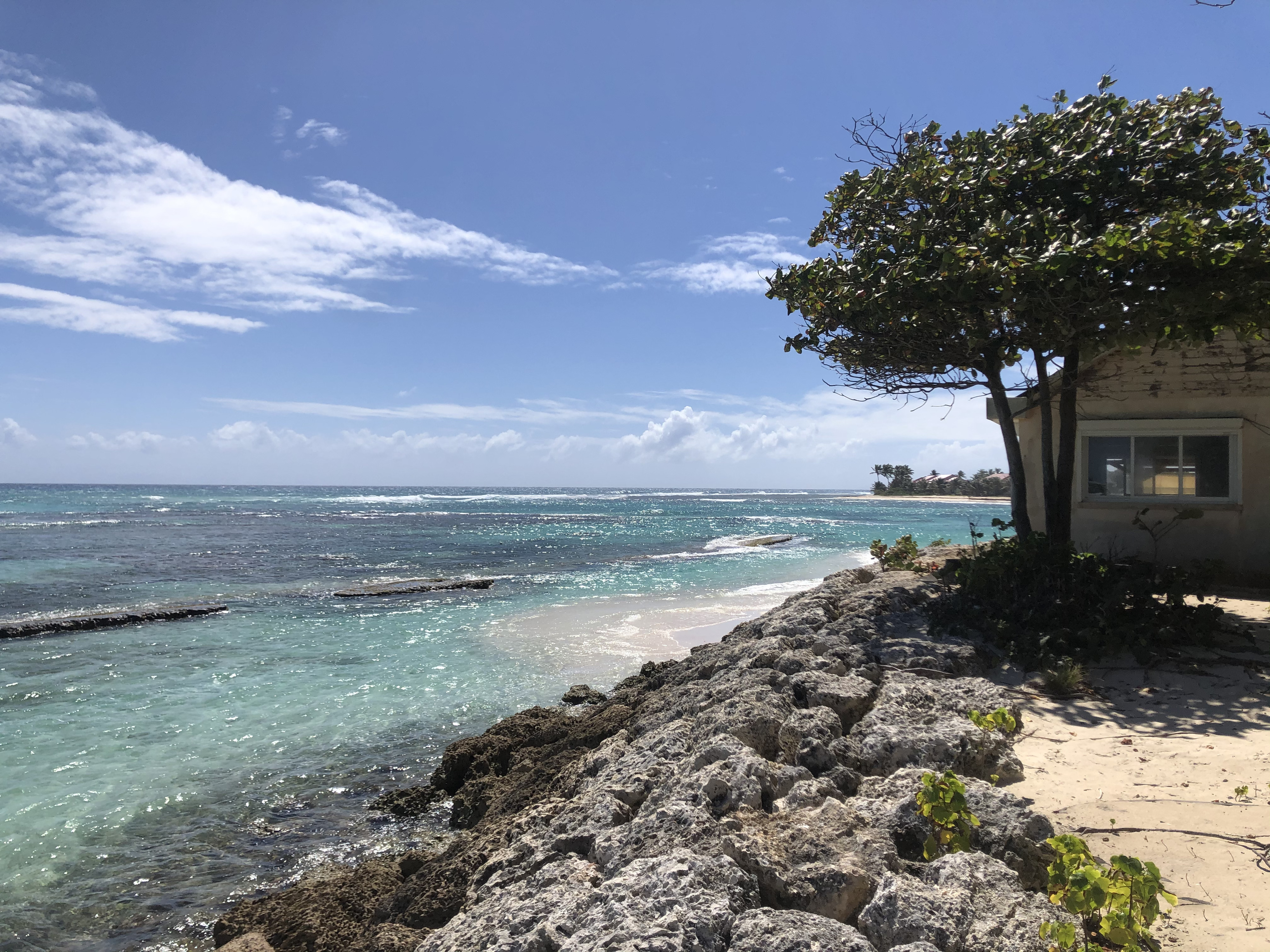 รูปถ่าย กวาเดอลูป(Guadeloupe) แซ็งฟร็องซัว(Saint Francois) 2021-02 57
