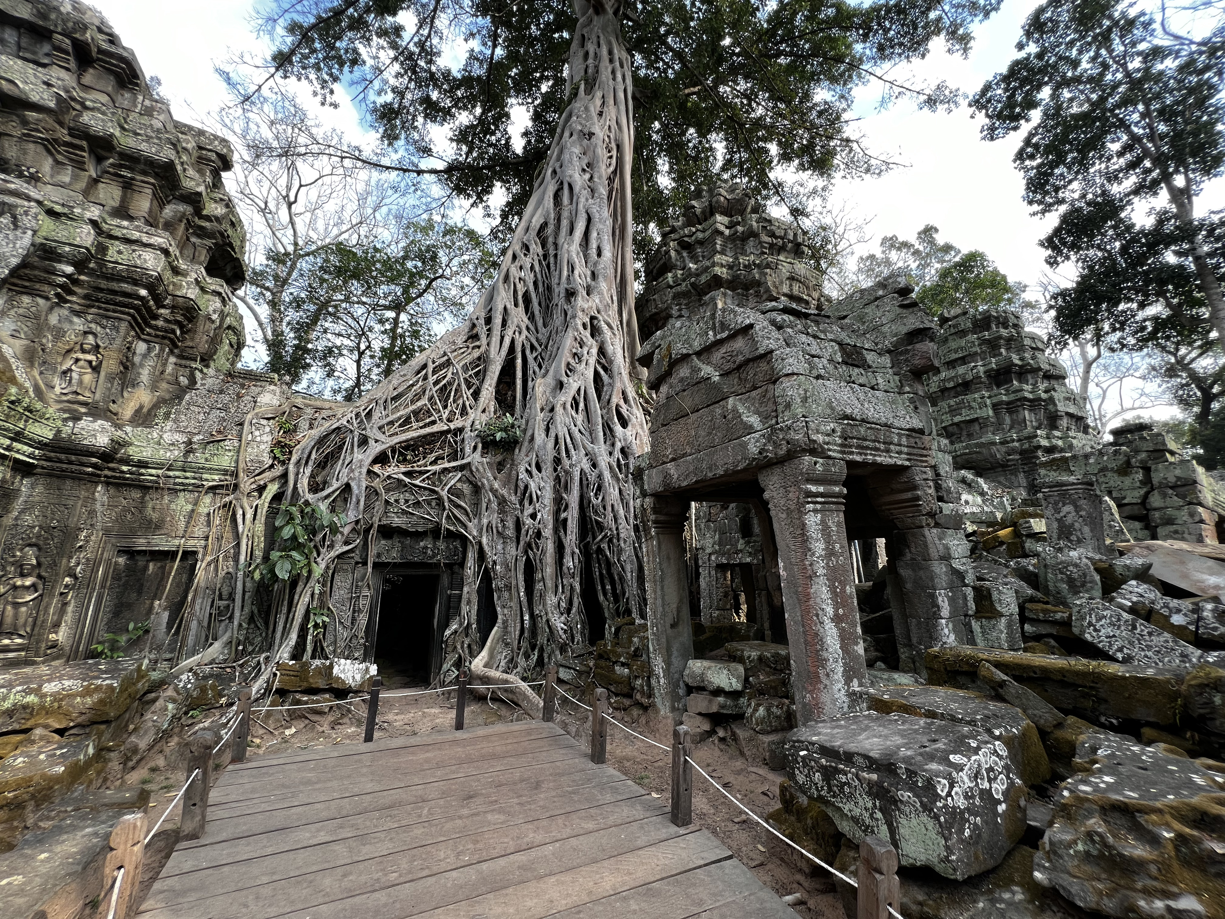 รูปถ่าย กัมพูชา(Cambodia) เสียมราฐ(Siem Reap) ปราสาทตาพรหม(Ta Prohm) 2023-01 155