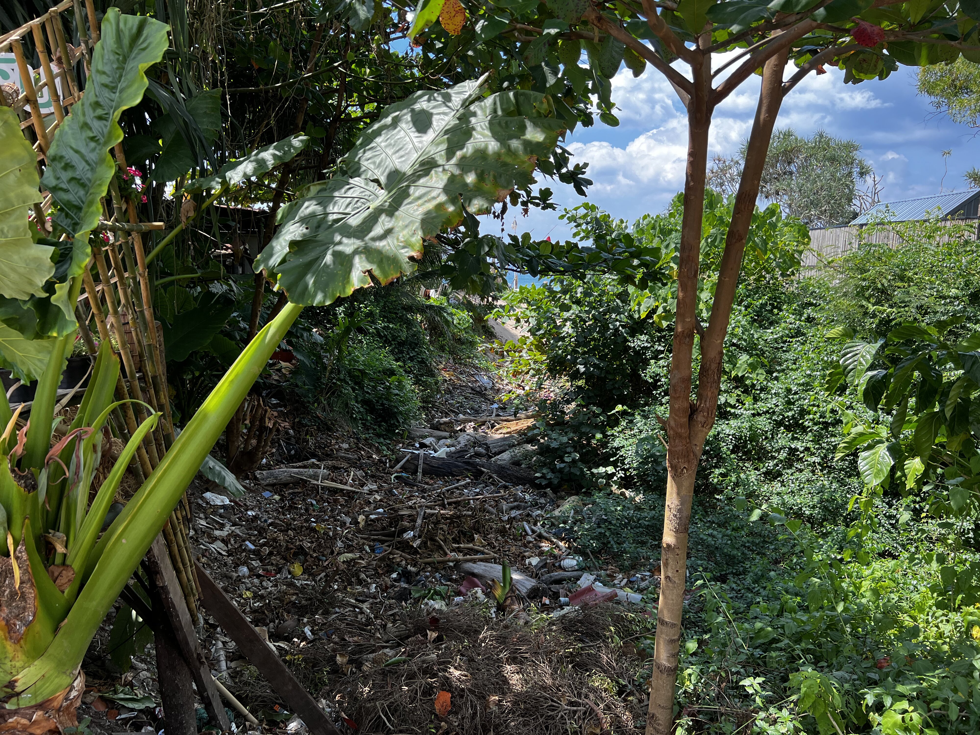 รูปถ่าย ไทย(Thailand) เกาะลันตา(Ko Lanta) 2023-01 182