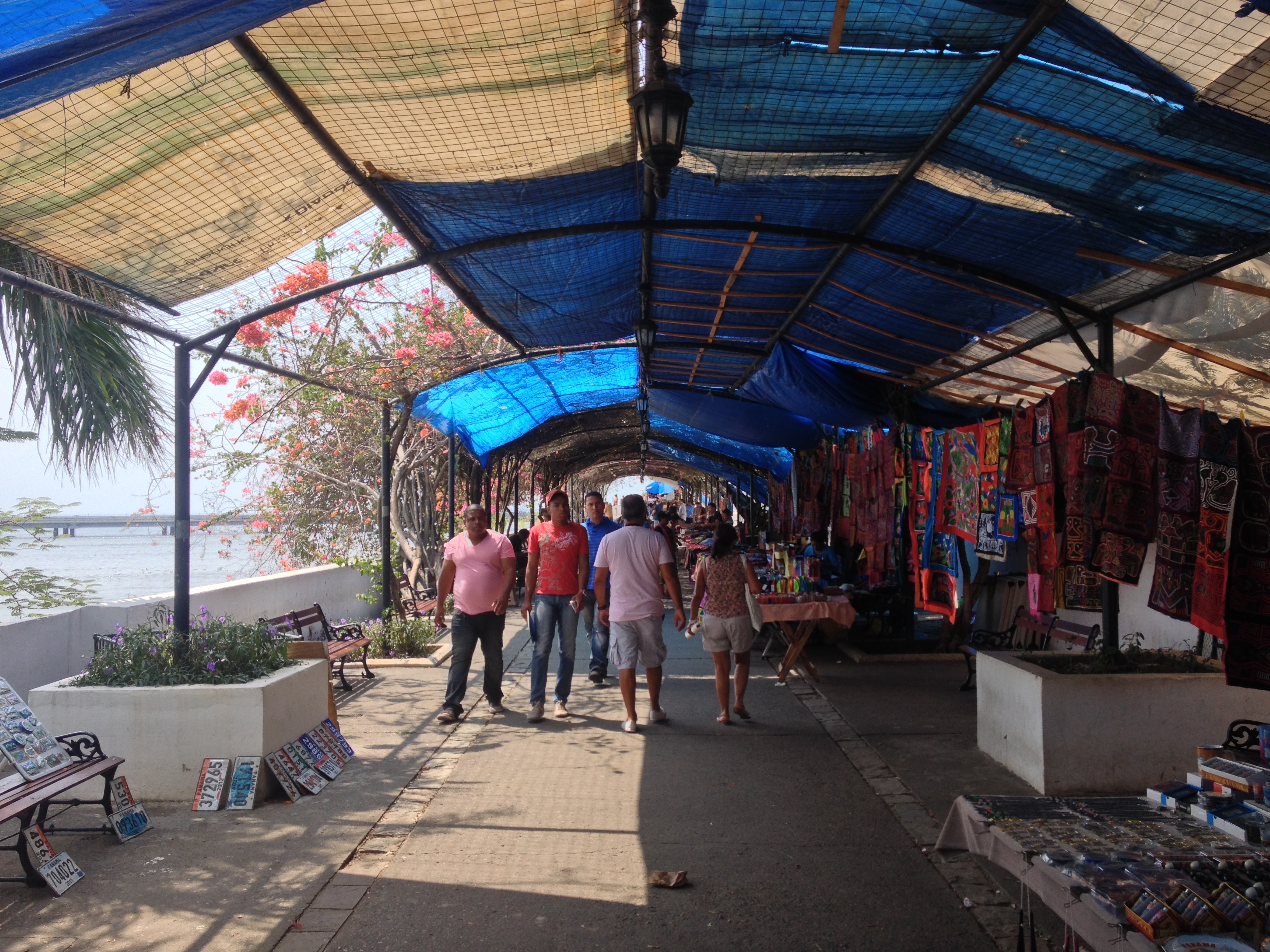 รูปถ่าย ปานามา(Panama) ปานามาซิตี(Panama City) 2015-03 130