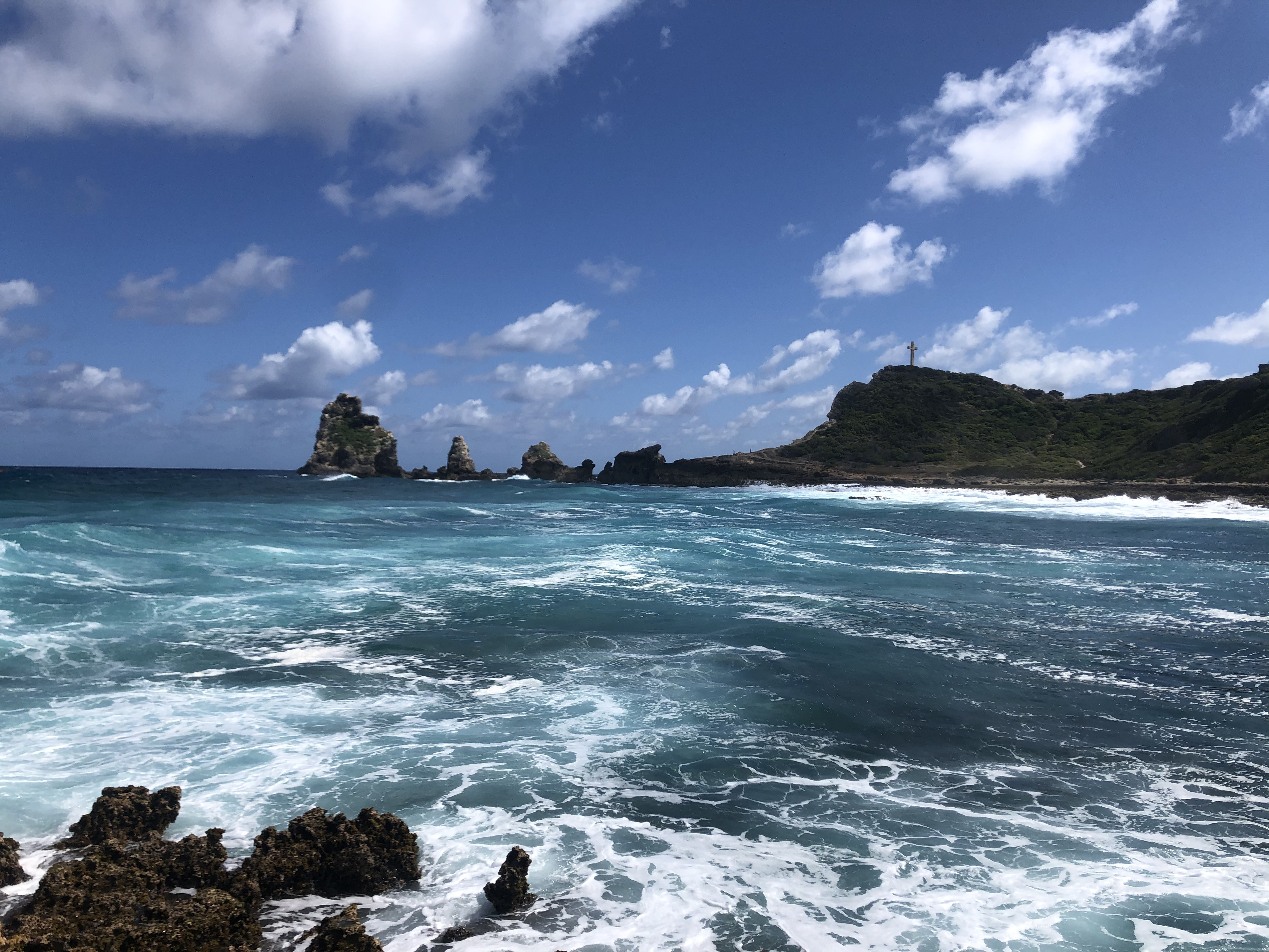 รูปถ่าย กวาเดอลูป(Guadeloupe) แหลมคาสเซิลพอยต์(Castle Point) 2021-02 19