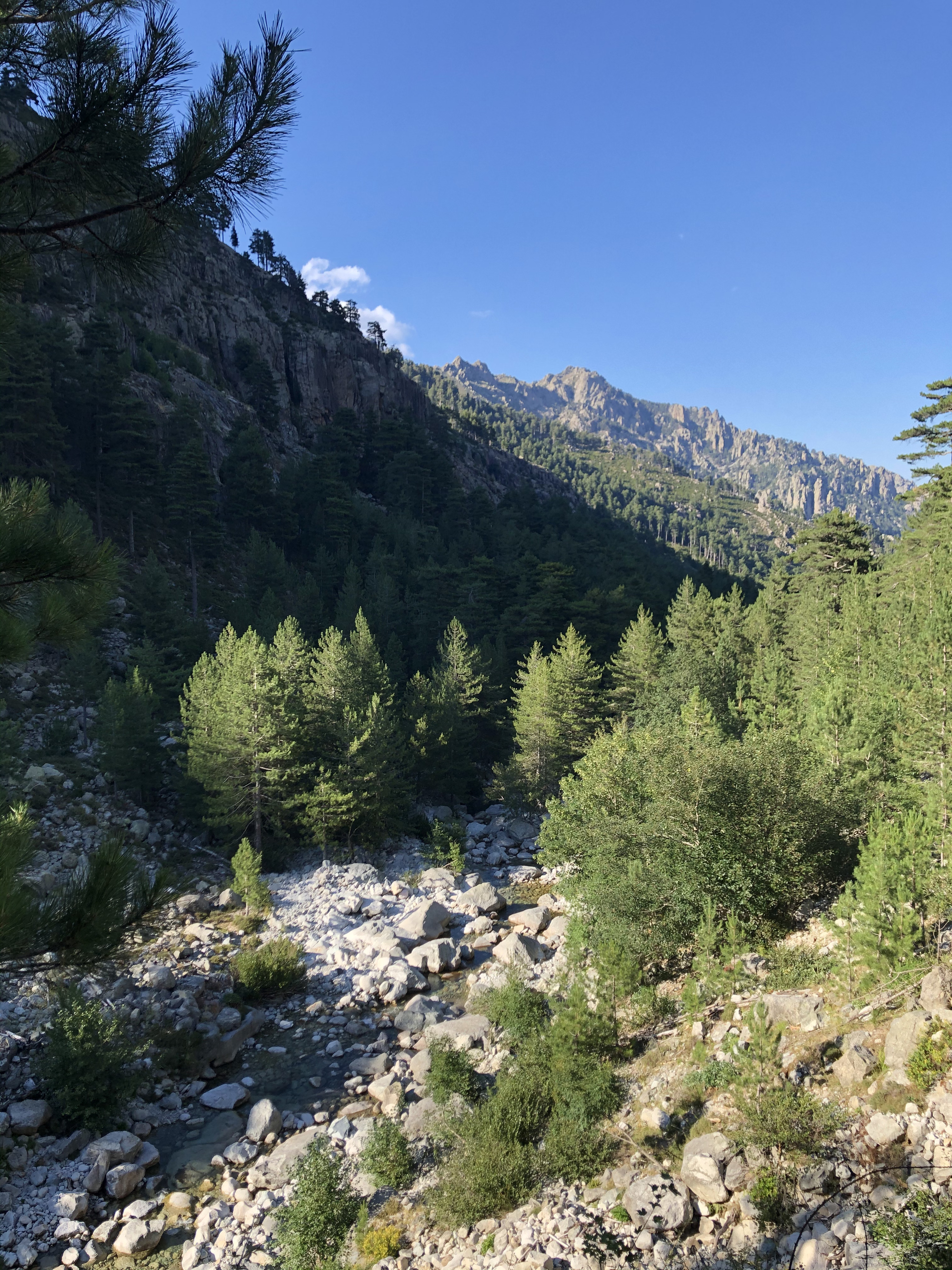 รูปถ่าย ฝรั่งเศส(France) คอร์สิคา(Corsica) หุบเขาลาเรสโตนีกา(La Restonica) 2020-07 122