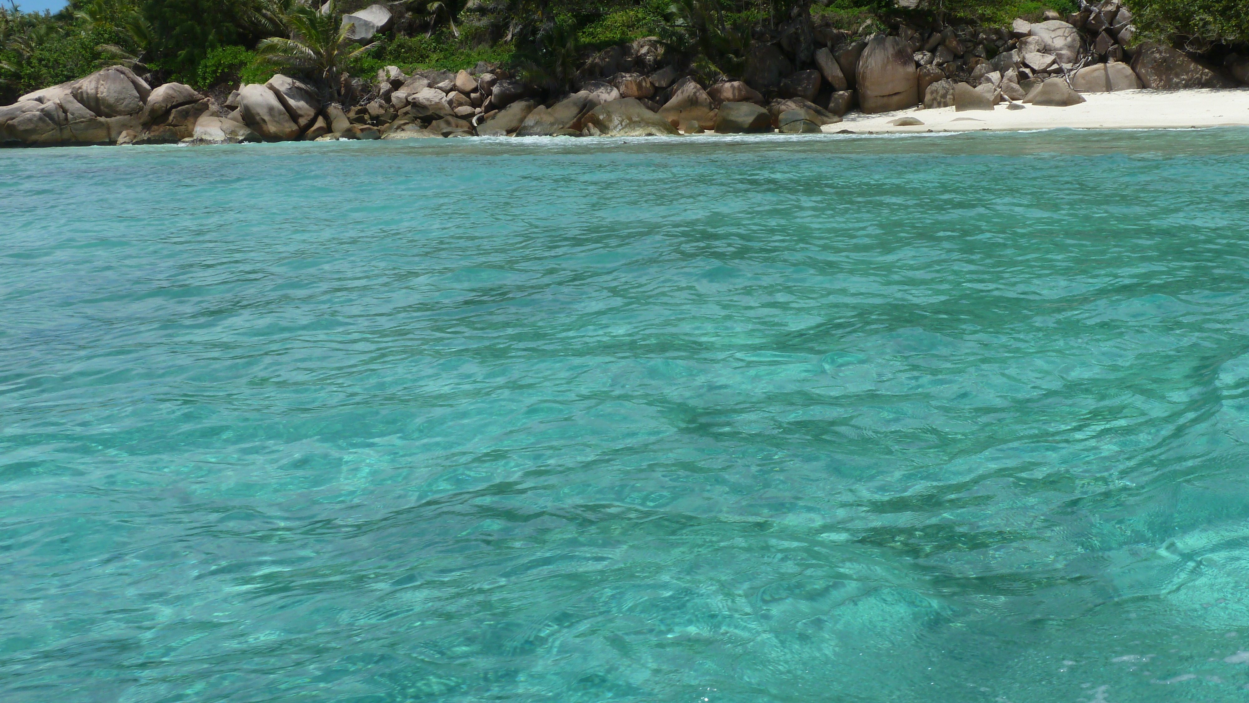 รูปถ่าย เซเชลส์(Seychelles) เกาะกร็องด์เซอร์(Grande Soeur) 2011-10 94