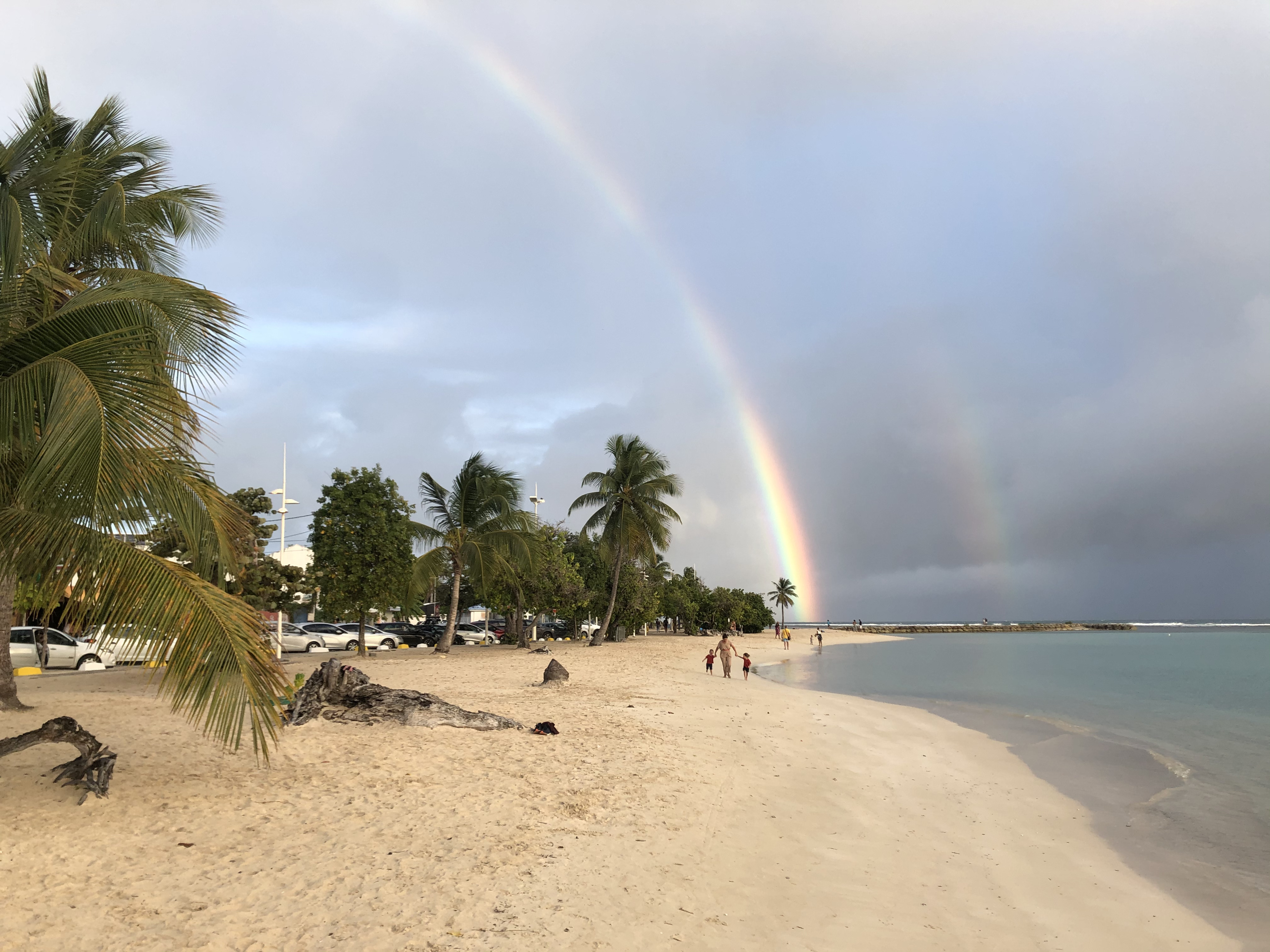 รูปถ่าย กวาเดอลูป(Guadeloupe) แซ็งตาน(Sainte Anne) 2021-02 63