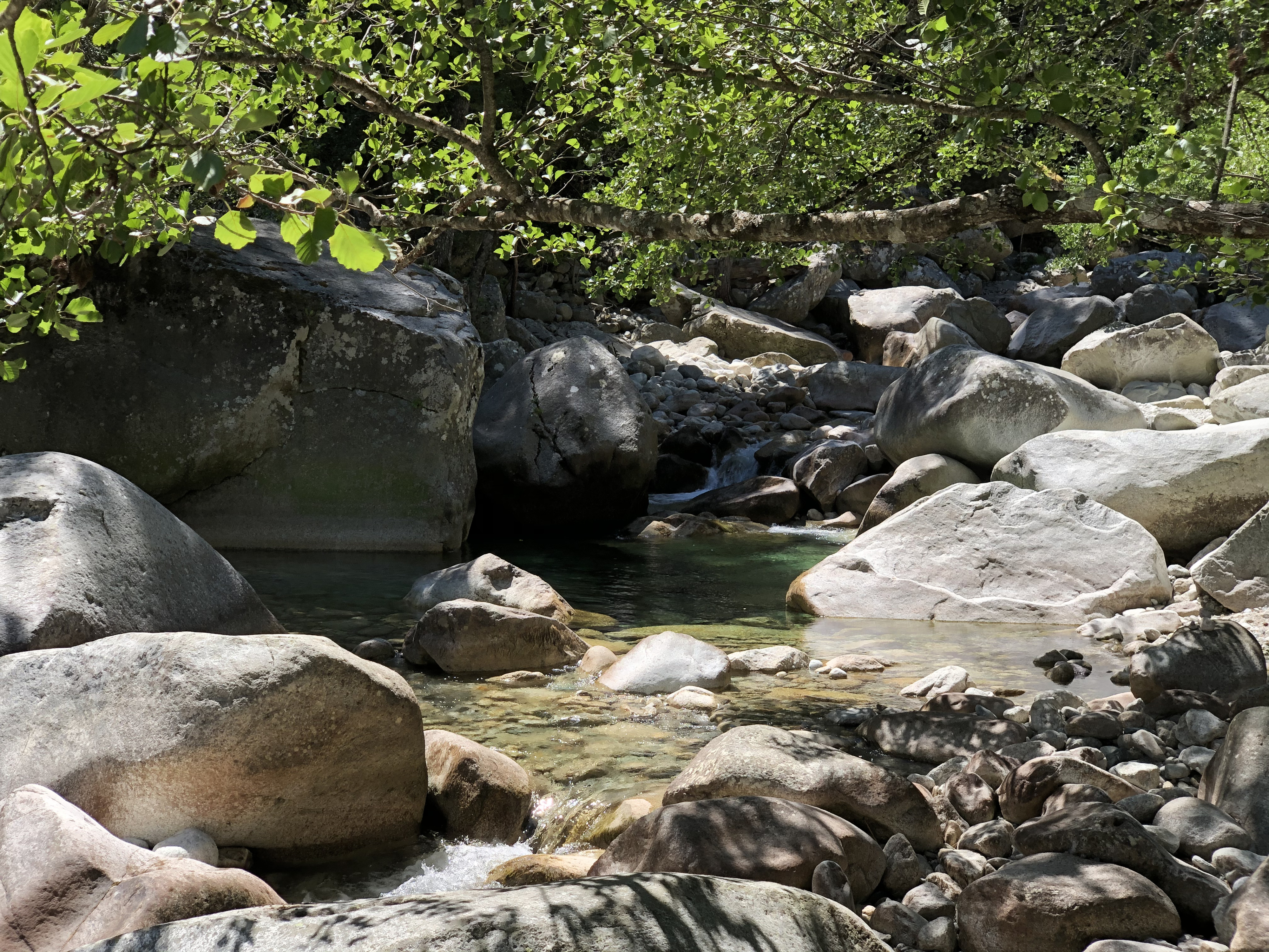 รูปถ่าย ฝรั่งเศส(France) คอร์สิคา(Corsica) หุบเขาลาเรสโตนีกา(La Restonica) 2020-07 54