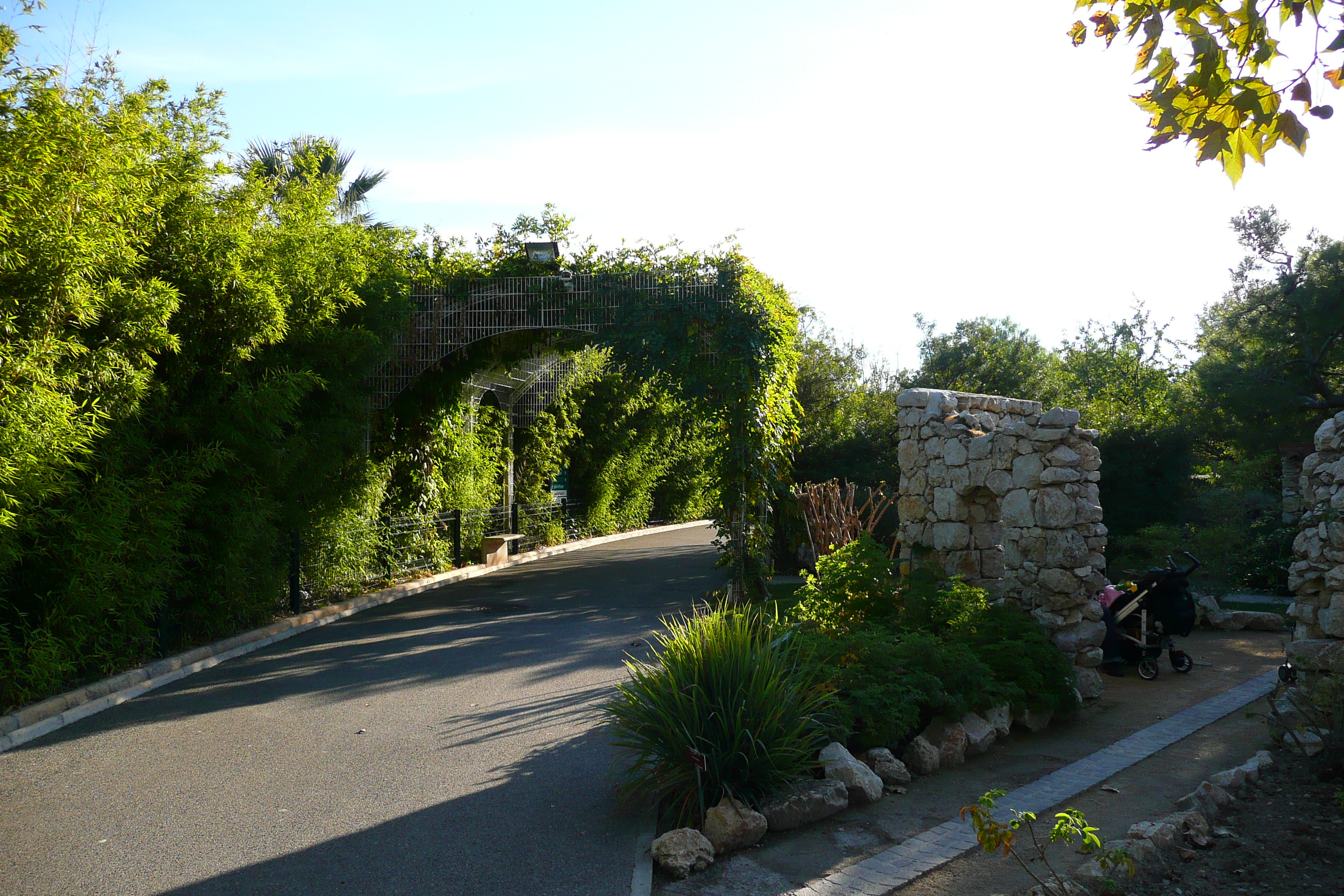 รูปถ่าย ฝรั่งเศส(France) นีส(Nice) สวนฟีนิกซ์(Phoenix Parc) 2007-10 107