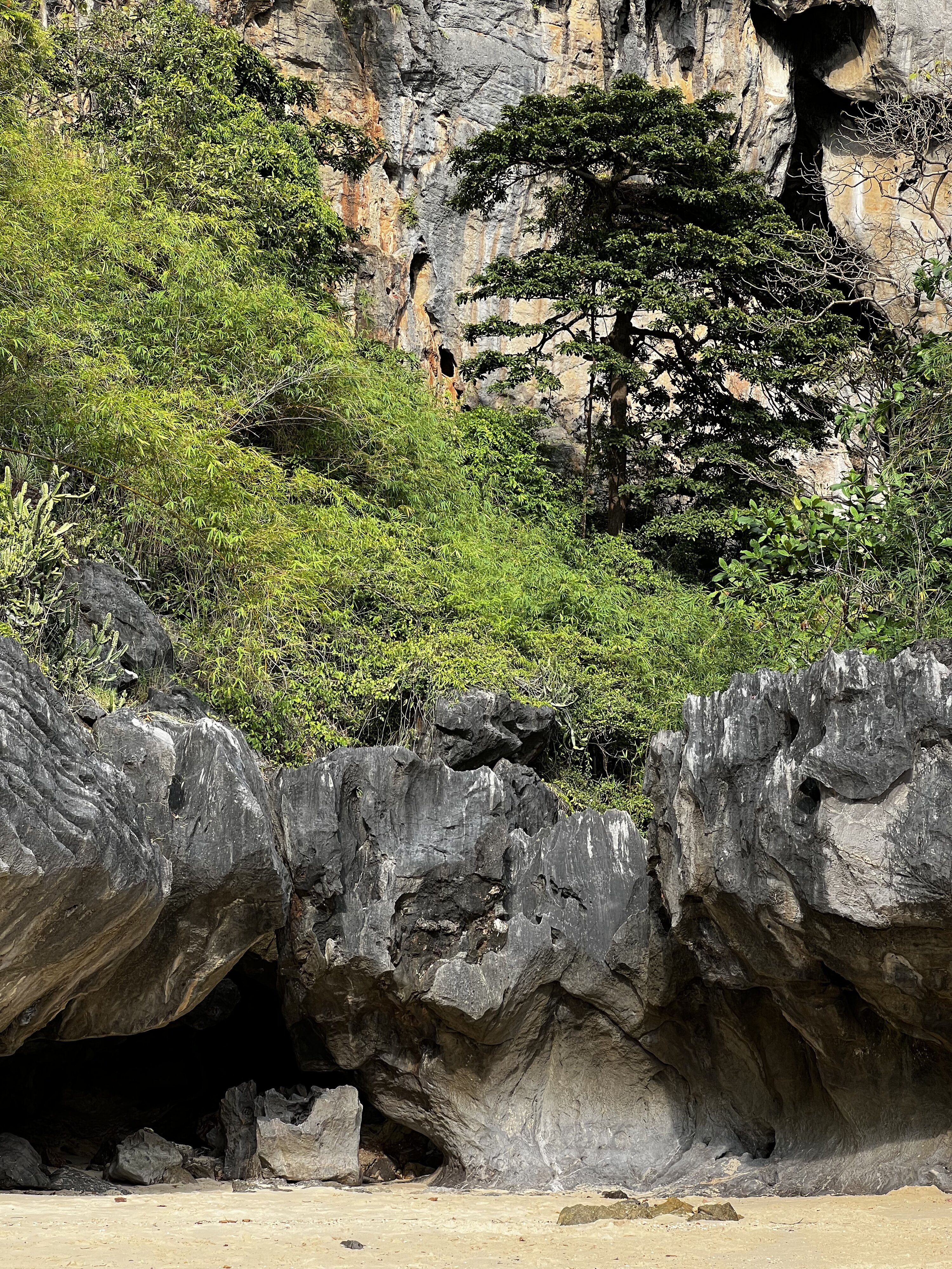 รูปถ่าย ไทย(Thailand) กระบี่(Krabi) 2023-01 416