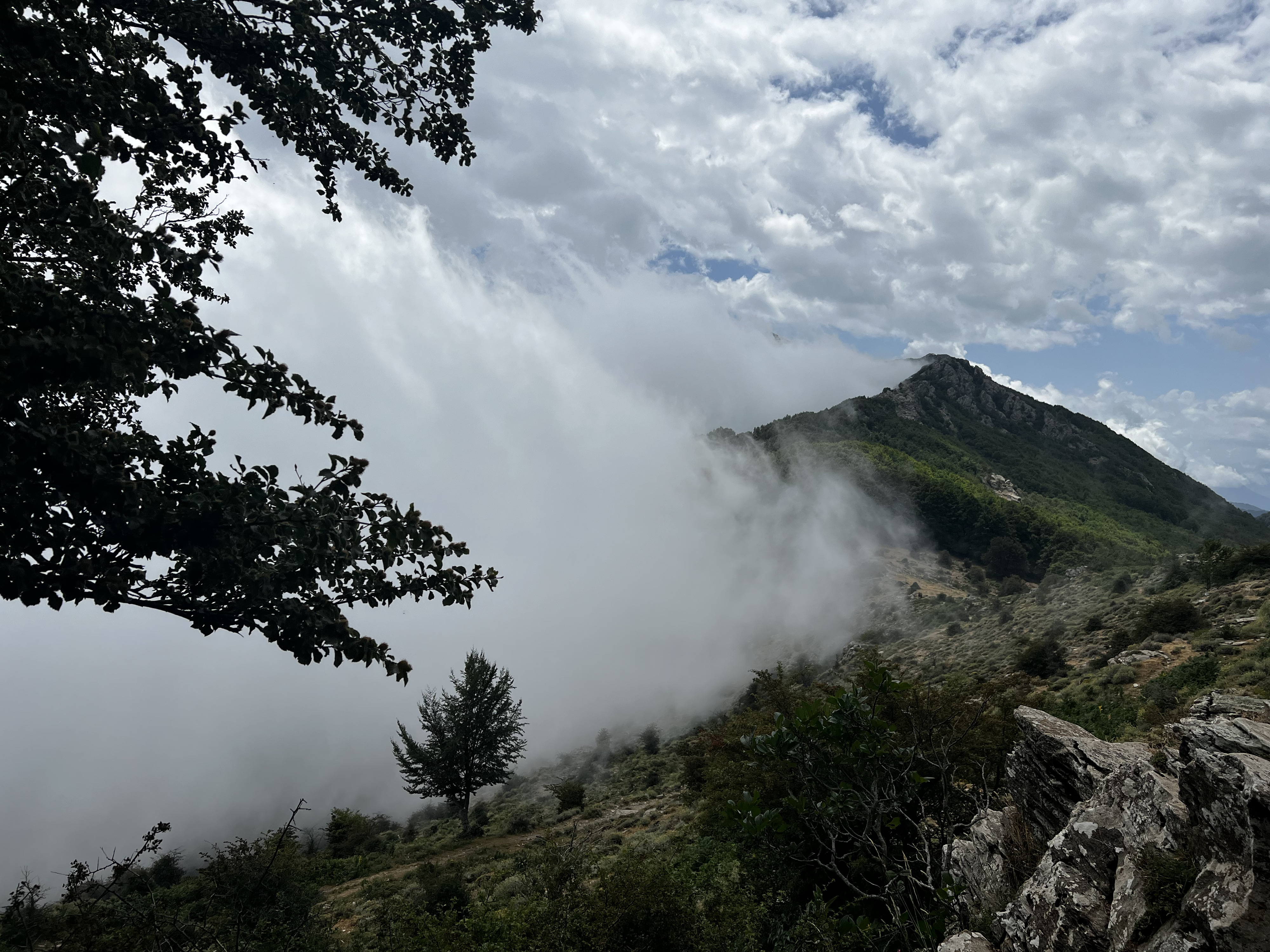 รูปถ่าย ฝรั่งเศส(France) คอร์สิคา(Corsica) ที่พักกัลเลรุชชู(Refuge de Callerucciu) 2022-06 30
