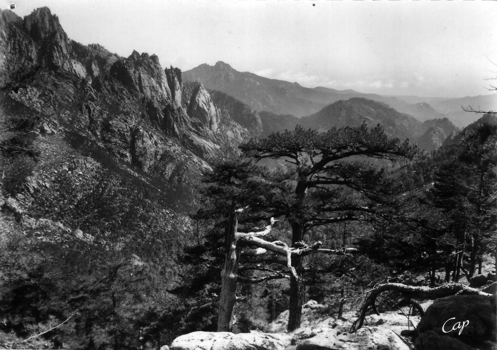 รูปถ่าย ฝรั่งเศส(France) คอร์สิคา(Corsica) โปสการ์ดเก่า(Old Postcards) 1900-01 141