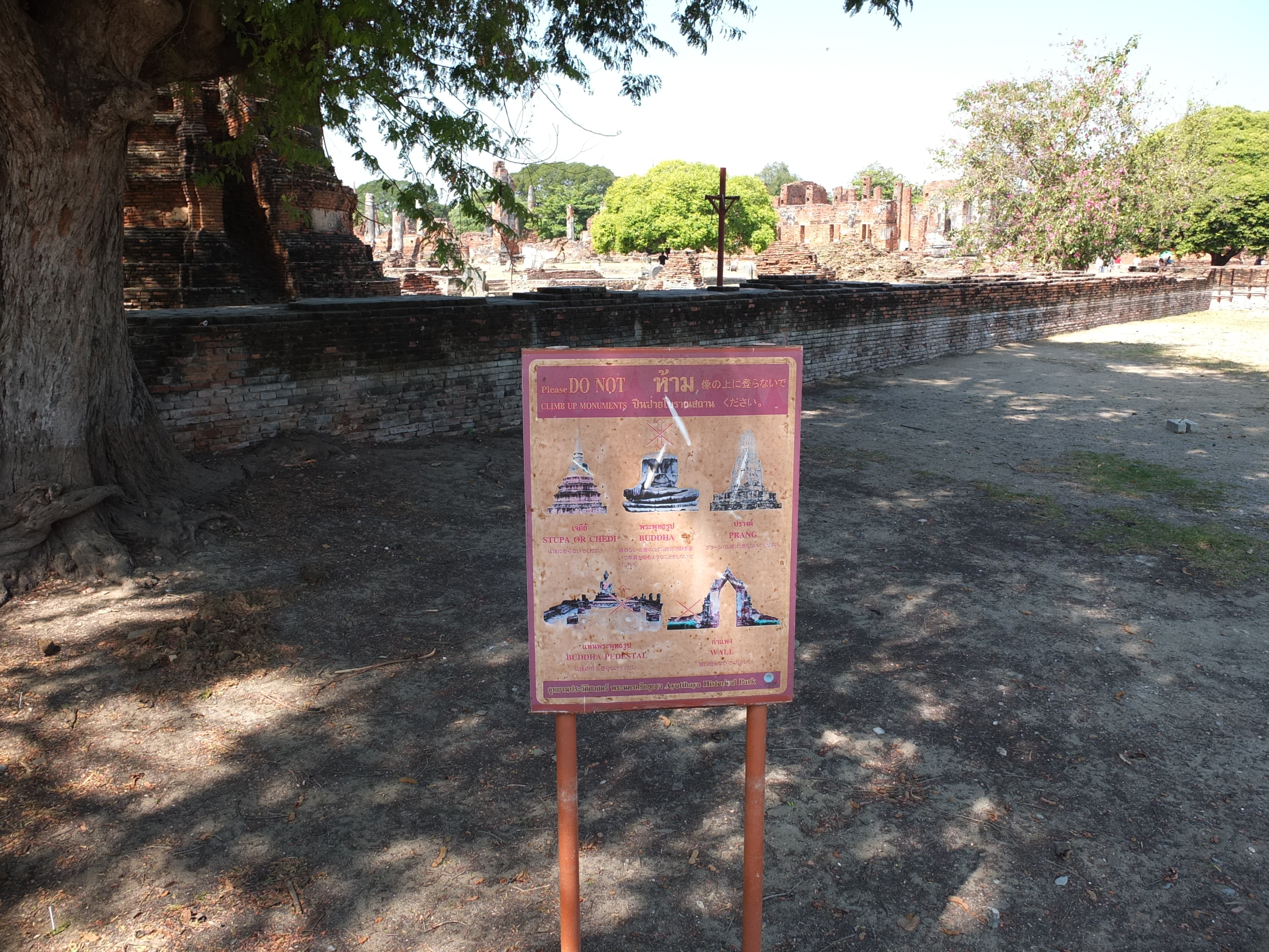 รูปถ่าย ไทย(Thailand) อยุธยา(Ayutthaya) 2011-12 105