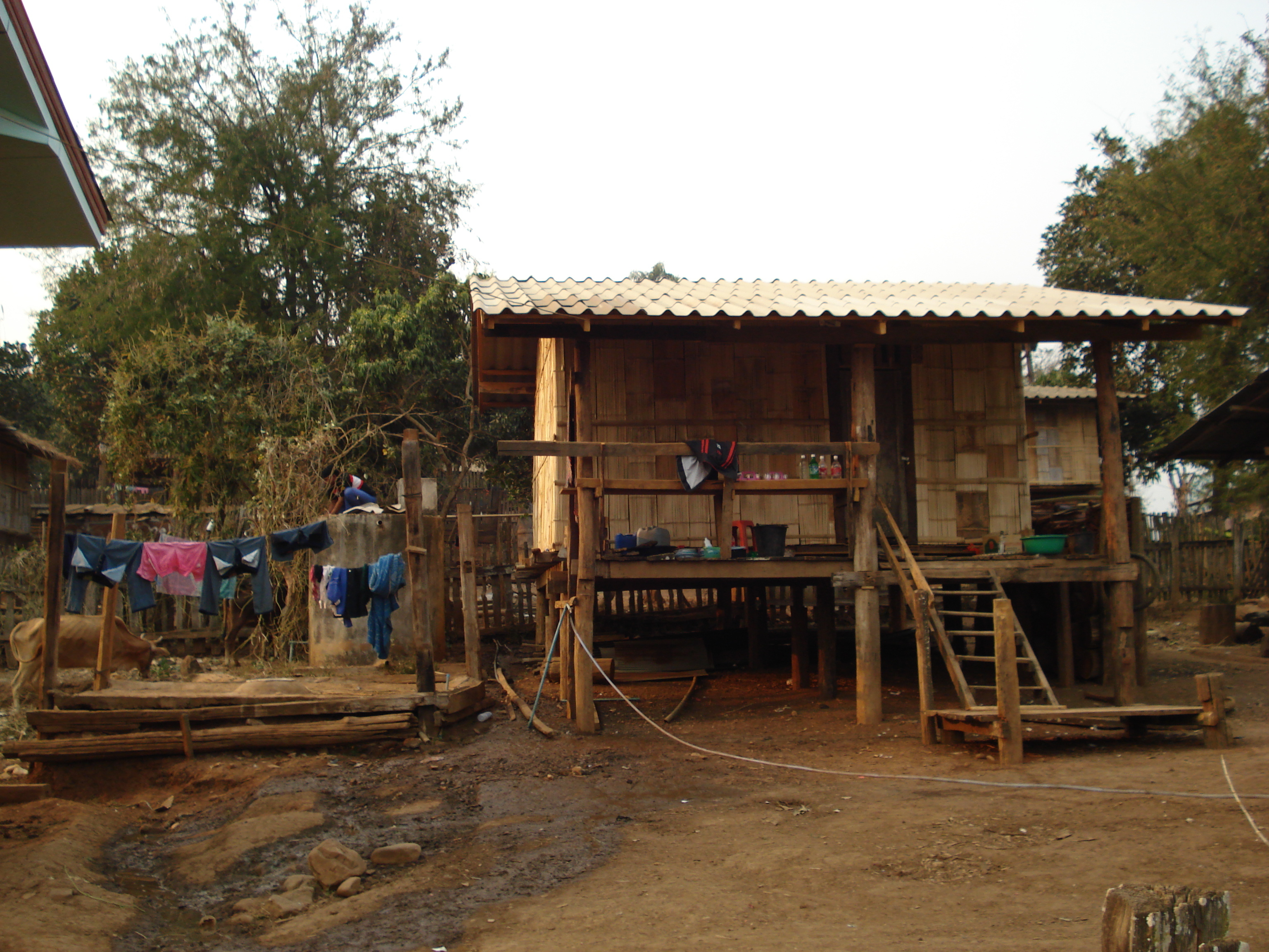 รูปถ่าย ไทย(Thailand) ปางมะผ้า(Pang Mapha) 2007-02 70