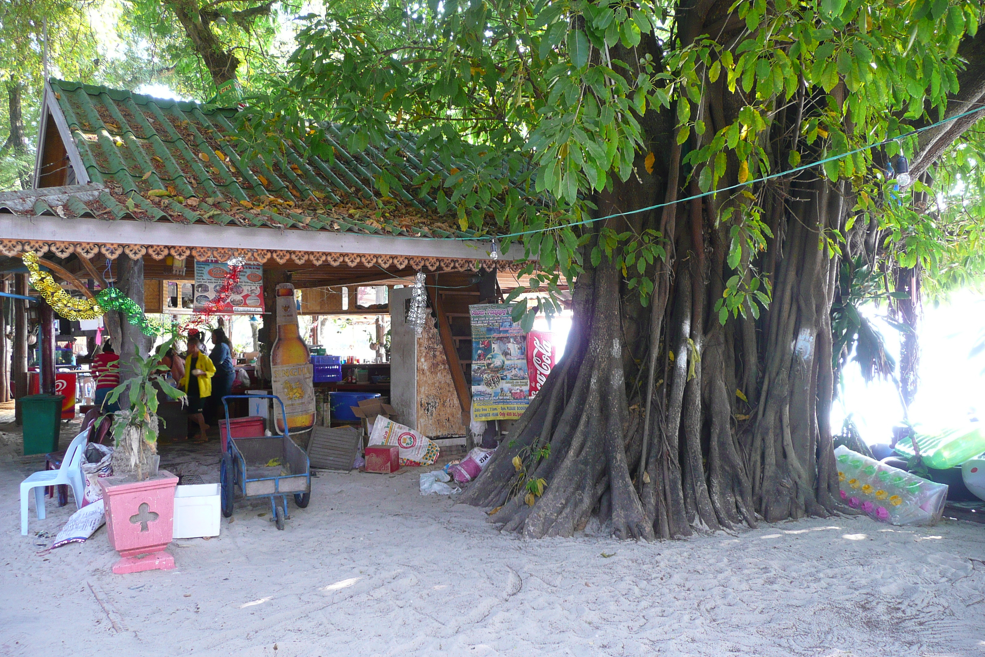 รูปถ่าย ไทย(Thailand) เกาะเสม็ด(Ko Samet) อ่าวช่อ(Ao Cho) 2009-01 31