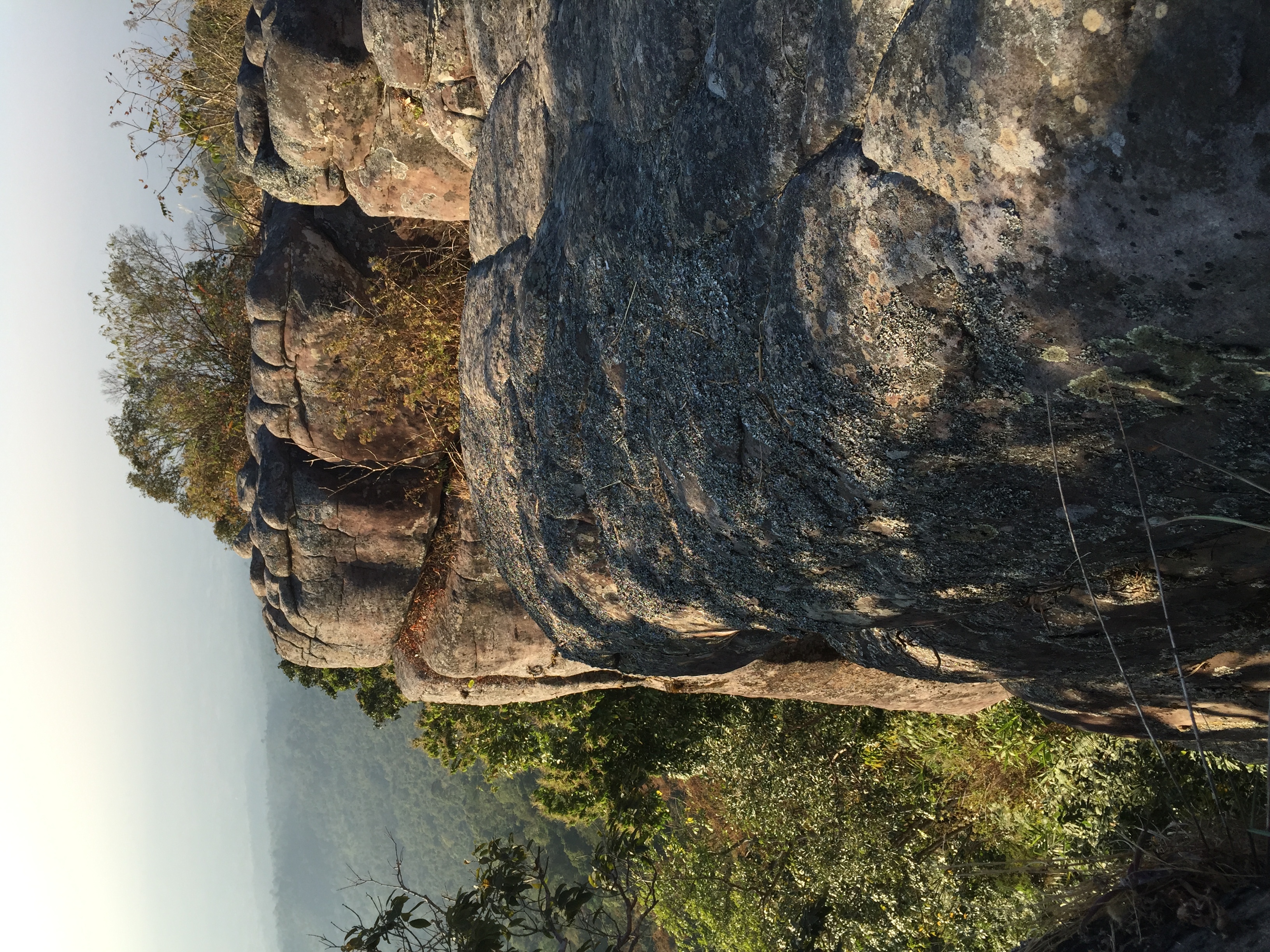 รูปถ่าย ไทย(Thailand) อุทยานแห่งชาติภูหินร่องกล้า(Phu Hin Rong Kla National Park) 2014-12 108