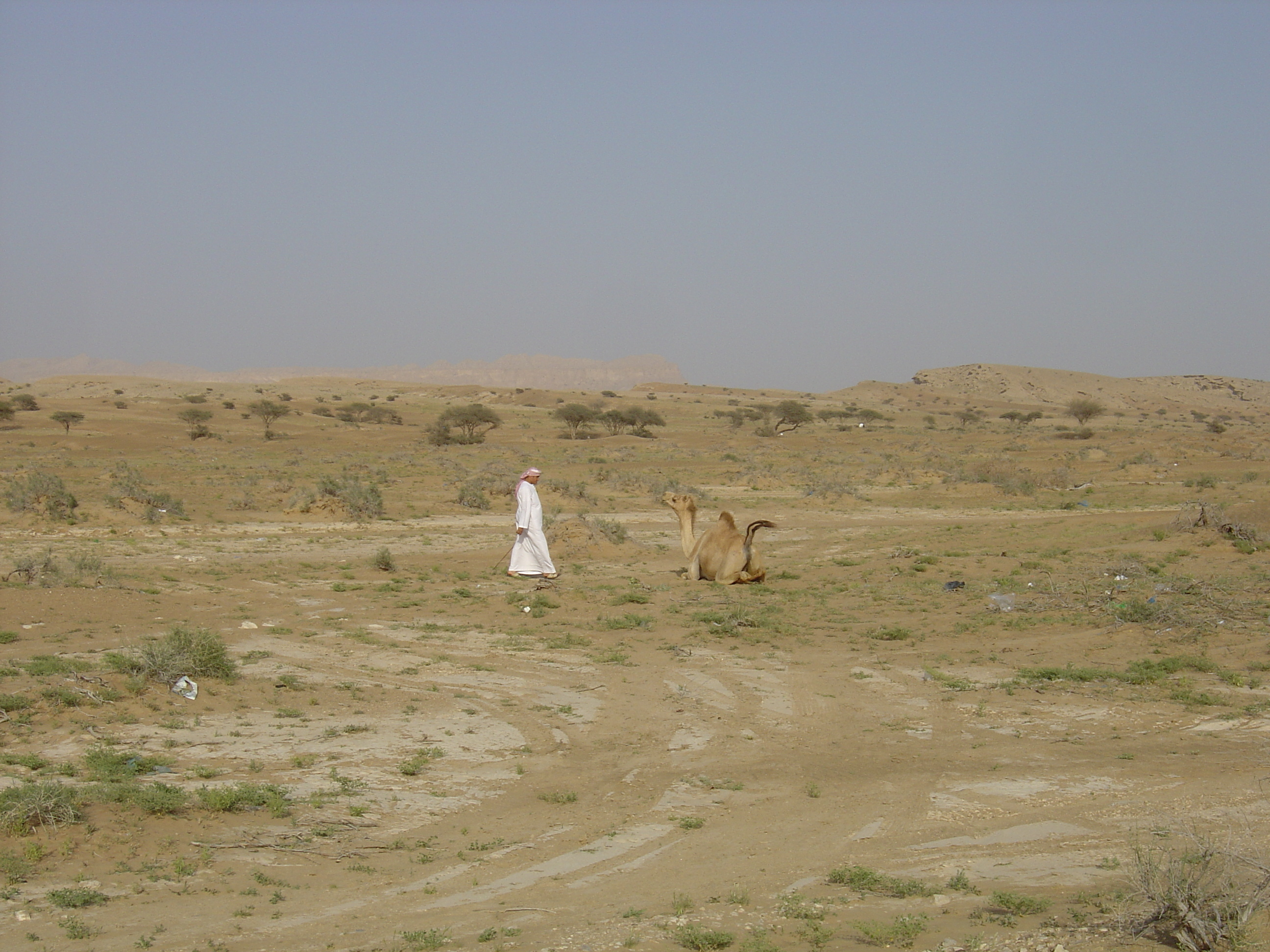 รูปถ่าย โอมาน(Oman) จากบูไมิไปถนนมาฮาดา(Buraimi to Mahada road) 2005-03 18