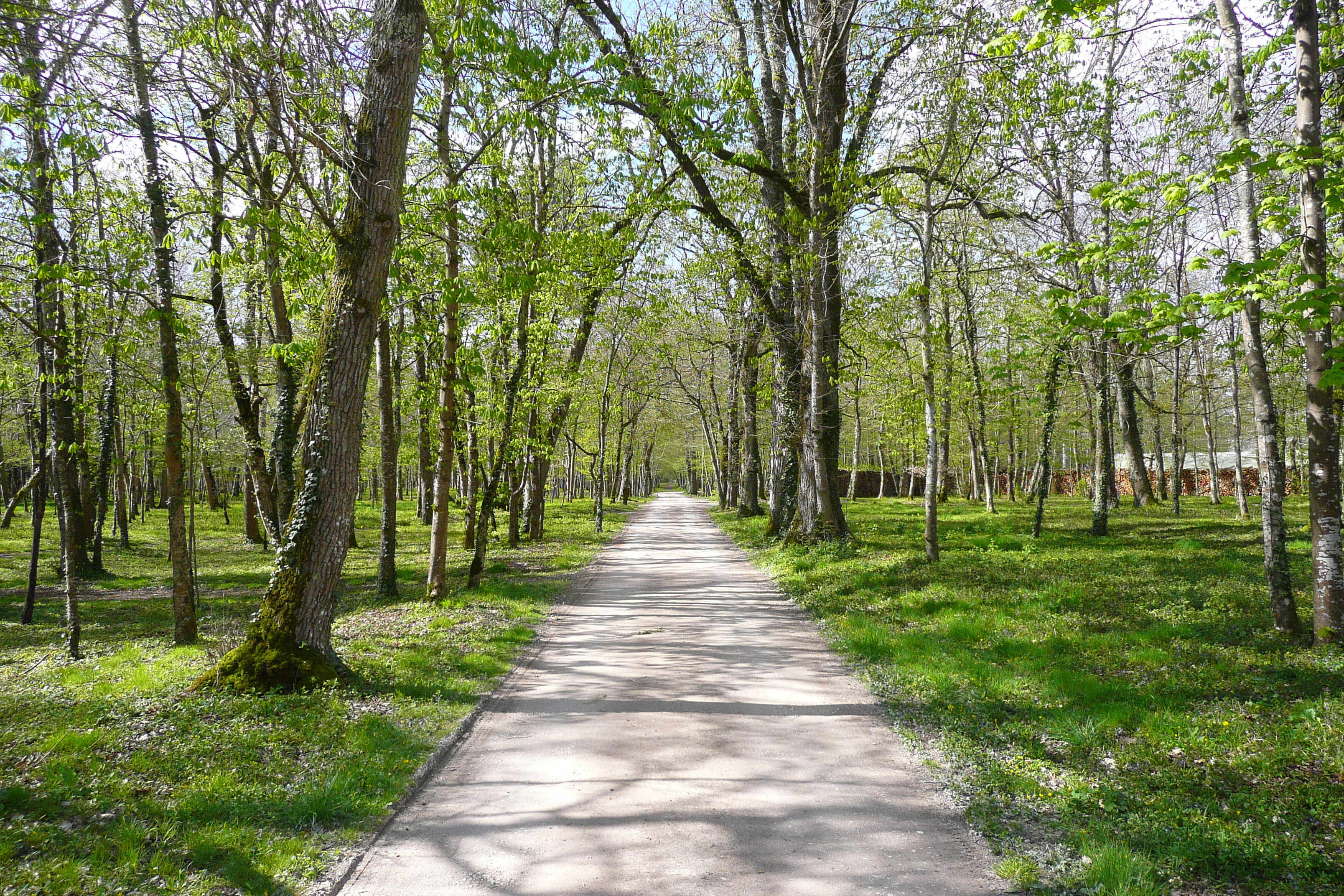 รูปถ่าย ฝรั่งเศส(France) ปราสาทเชอนงโซ(Chenonceau Castle) สวนปราสาทเชอนงโซ(Gardens of Chenonceau) 2008-04 63