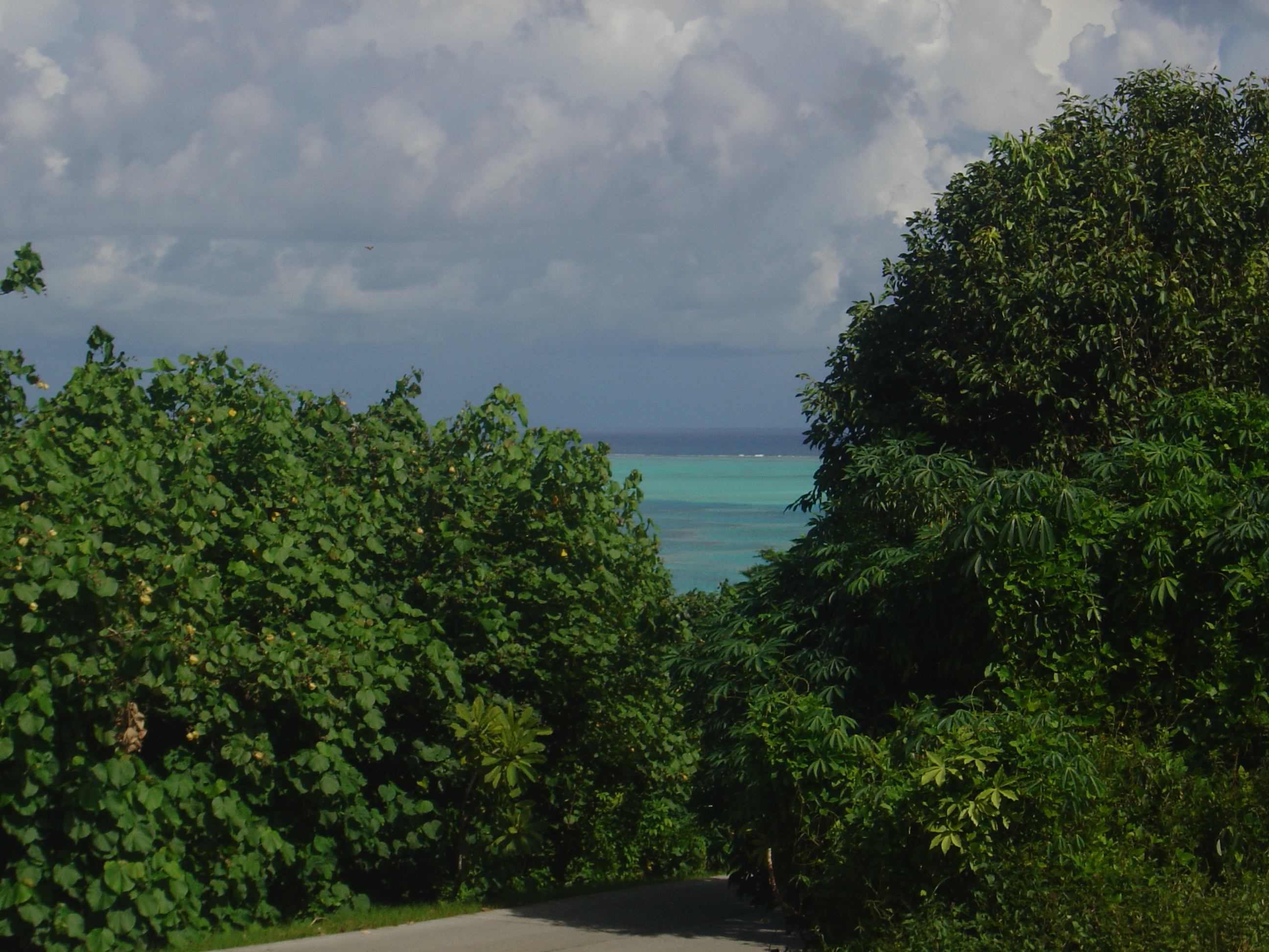 รูปถ่าย เฟรนช์โพลี่นีเซีย(Polynesia) โบราโบรา(Bora Bora) 2006-04 64