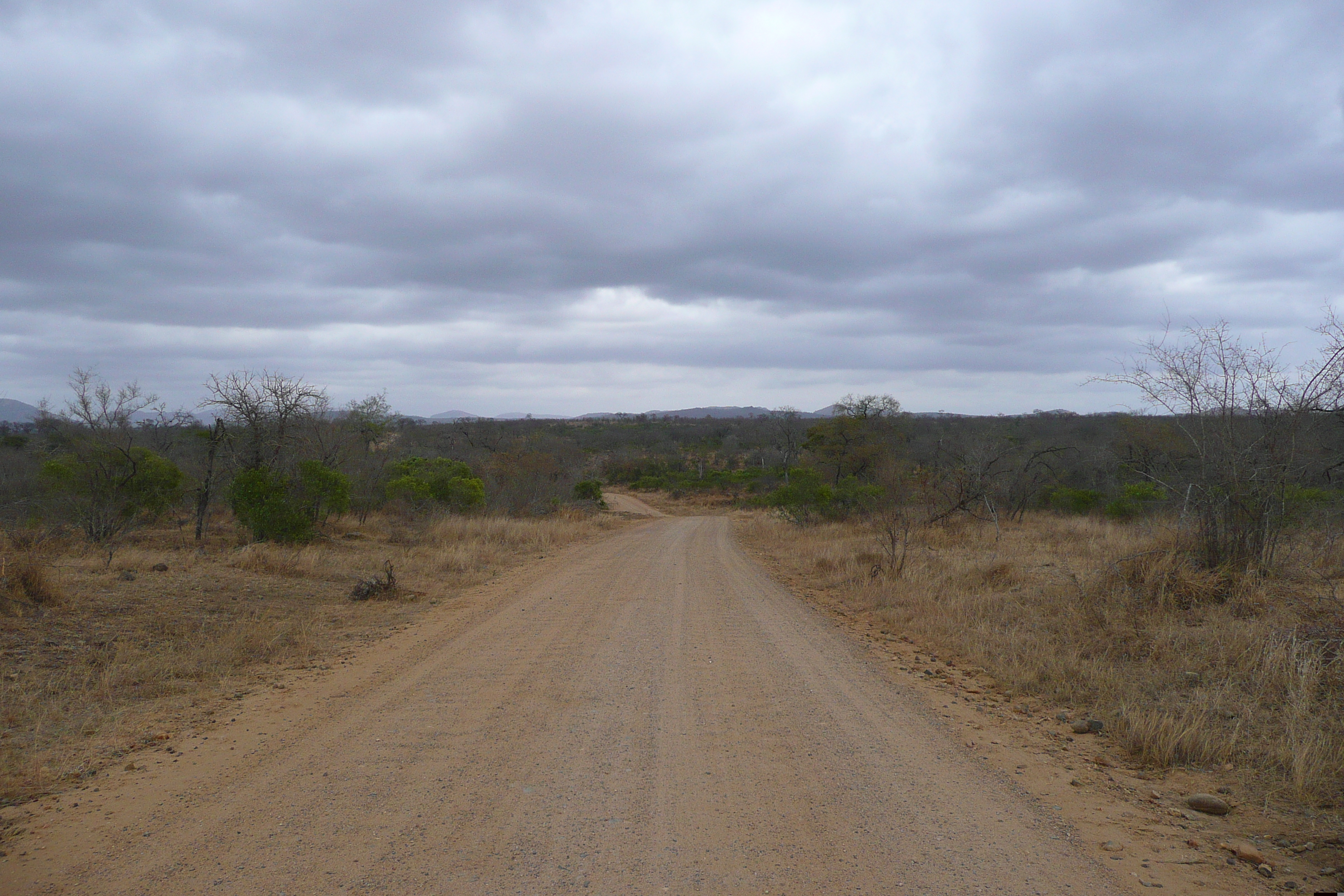 รูปถ่าย แอฟริกาใต้(South Africa) อุทยานแห่งชาติครูเกอร์(Kruger National Park) ถนนเลียบแม่น้ำครอกโคไดล์(Crocodile River road) 2008-09 1