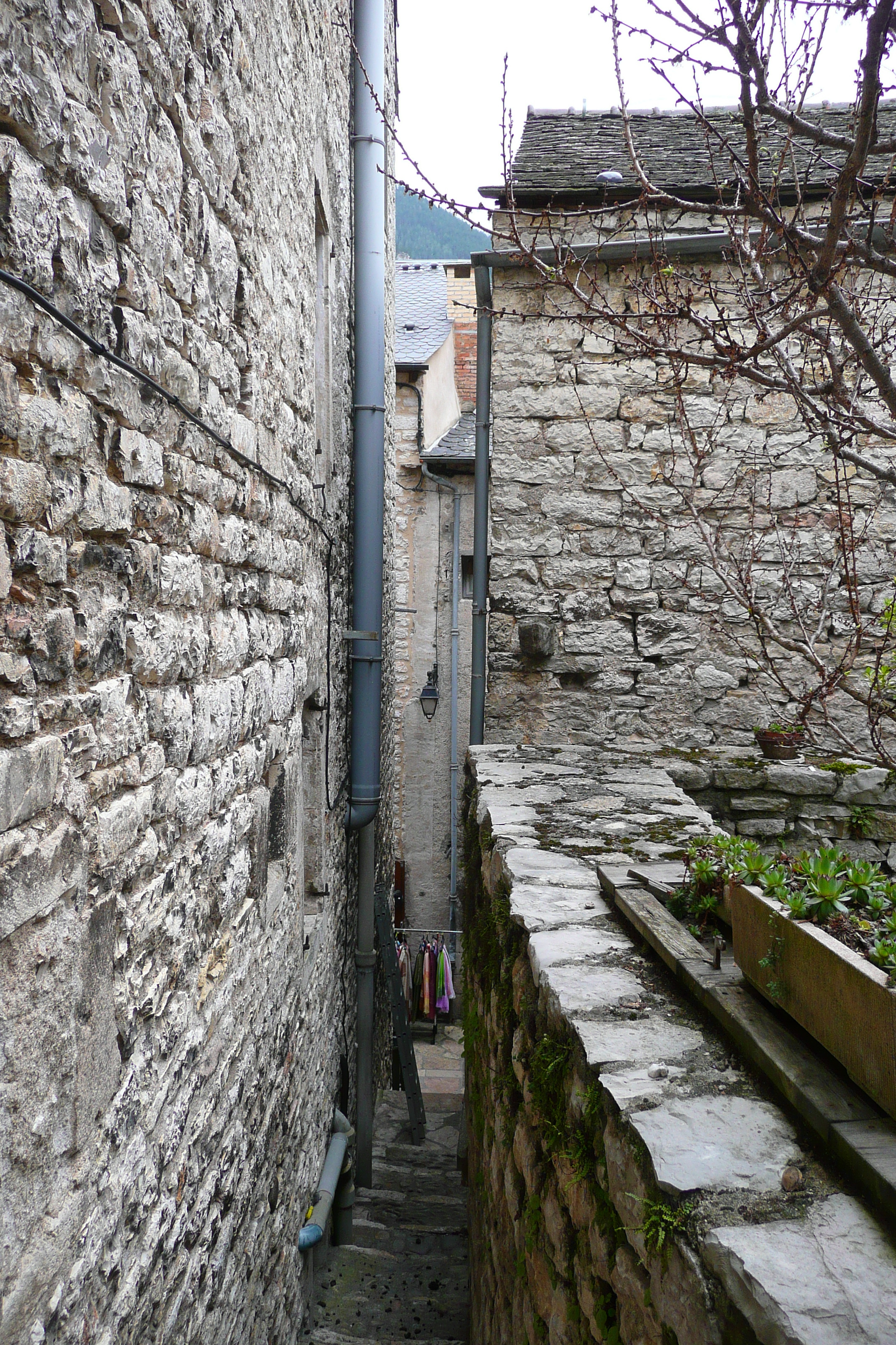 รูปถ่าย ฝรั่งเศส(France) แซ็งเตนีมี(Sainte Enimie) 2008-04 1