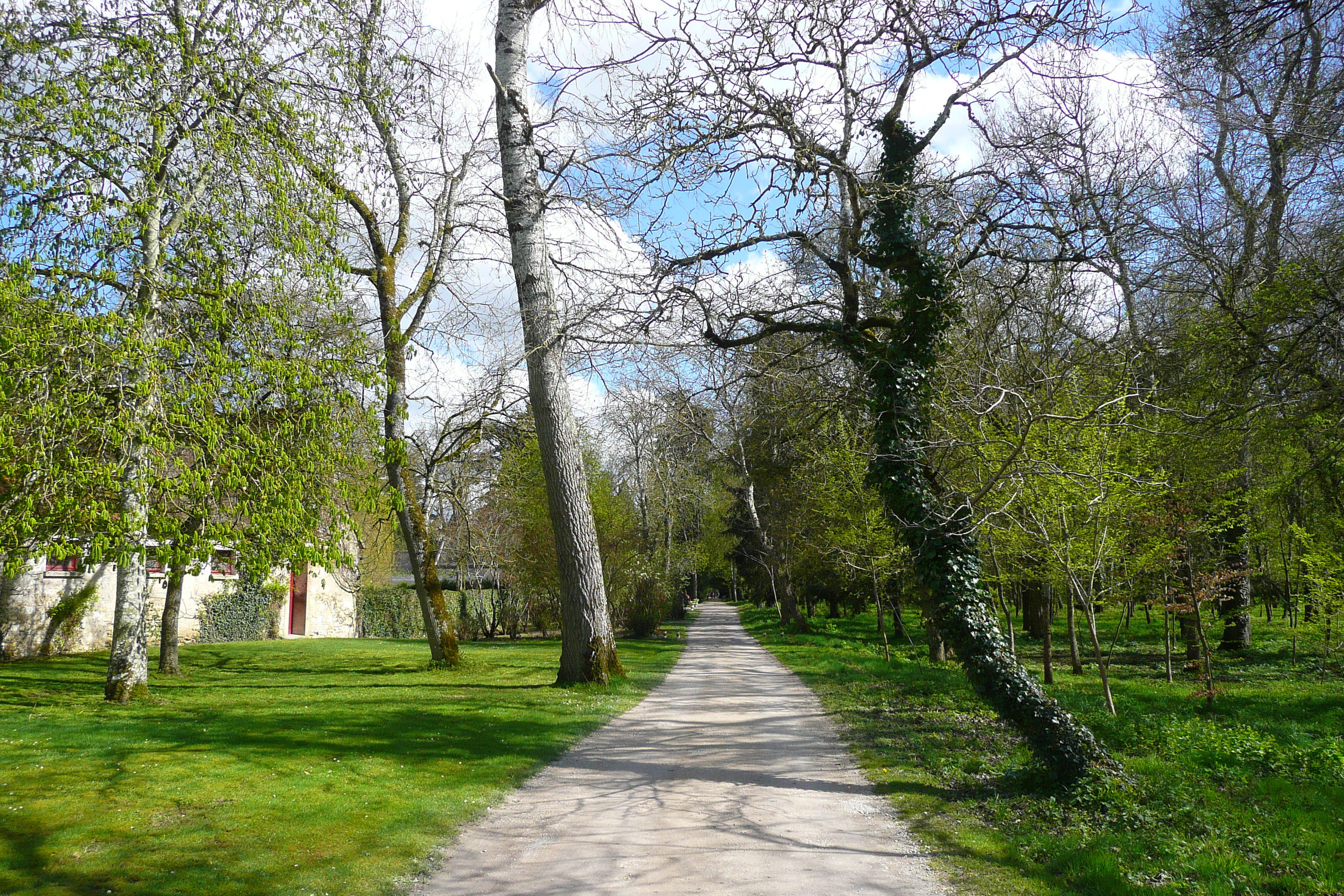 รูปถ่าย ฝรั่งเศส(France) ปราสาทเชอนงโซ(Chenonceau Castle) สวนปราสาทเชอนงโซ(Gardens of Chenonceau) 2008-04 75