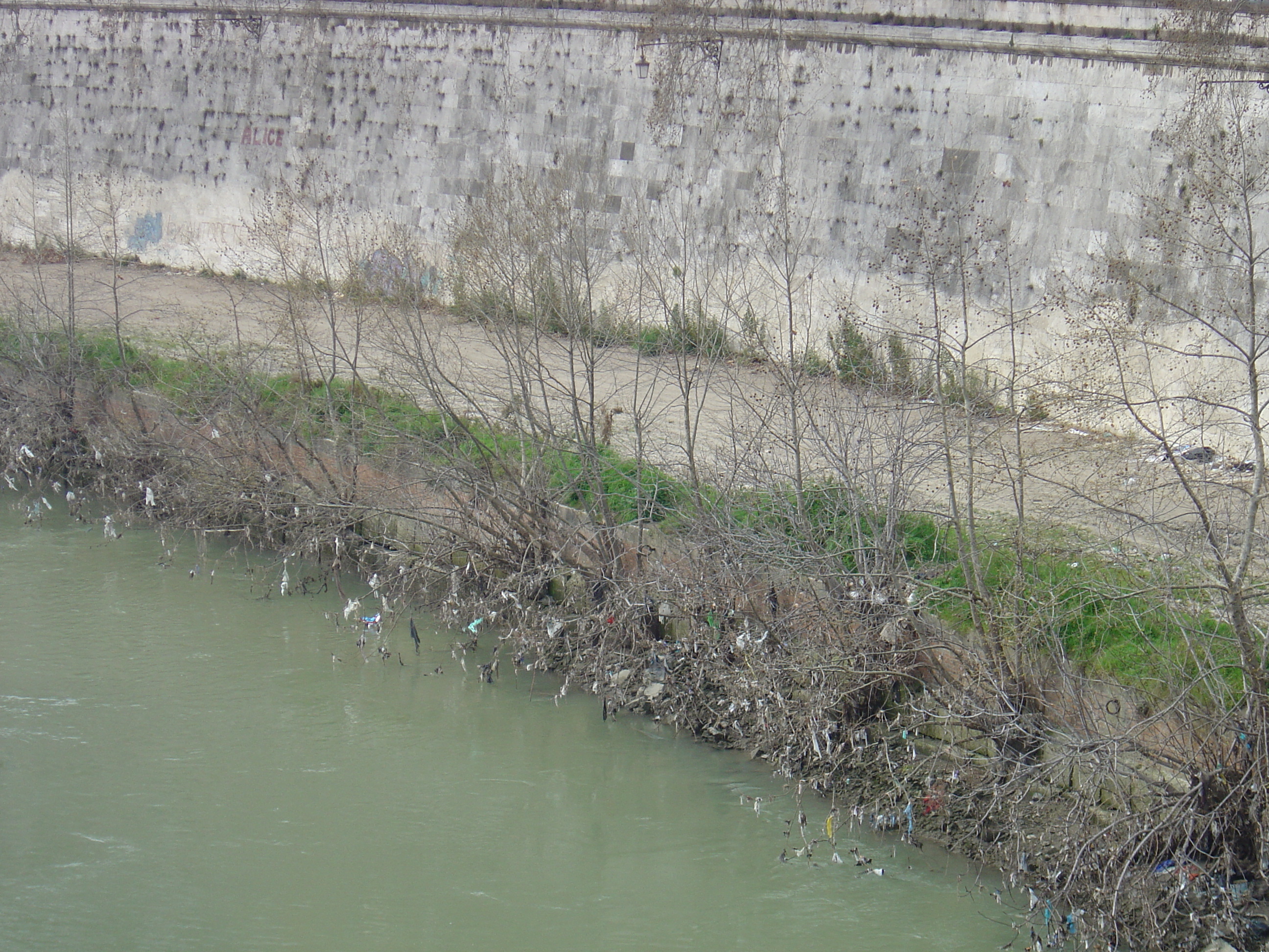 รูปถ่าย อิตาลี(Italy) โรม(Rome) 2004-03 66