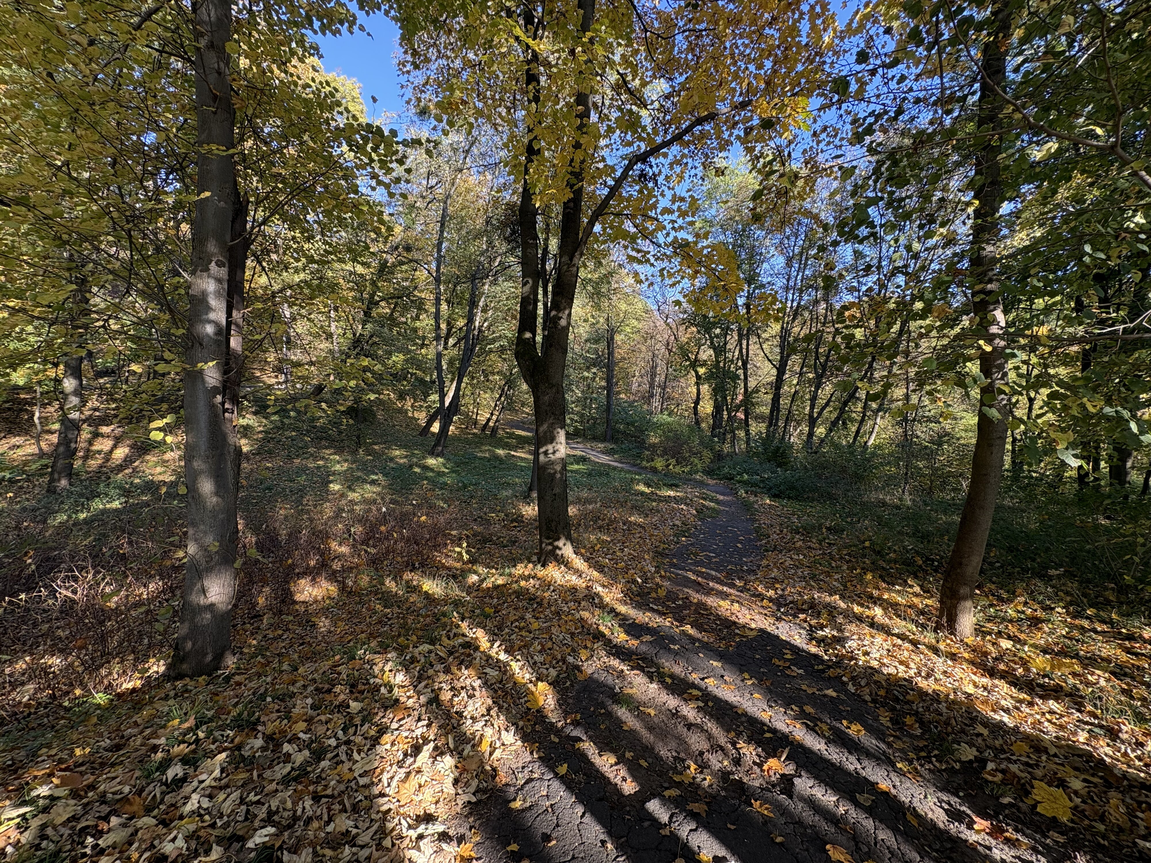 รูปถ่าย ยูเครน(Ukraine) ลวิฟ(Lviv) 2024-10 1