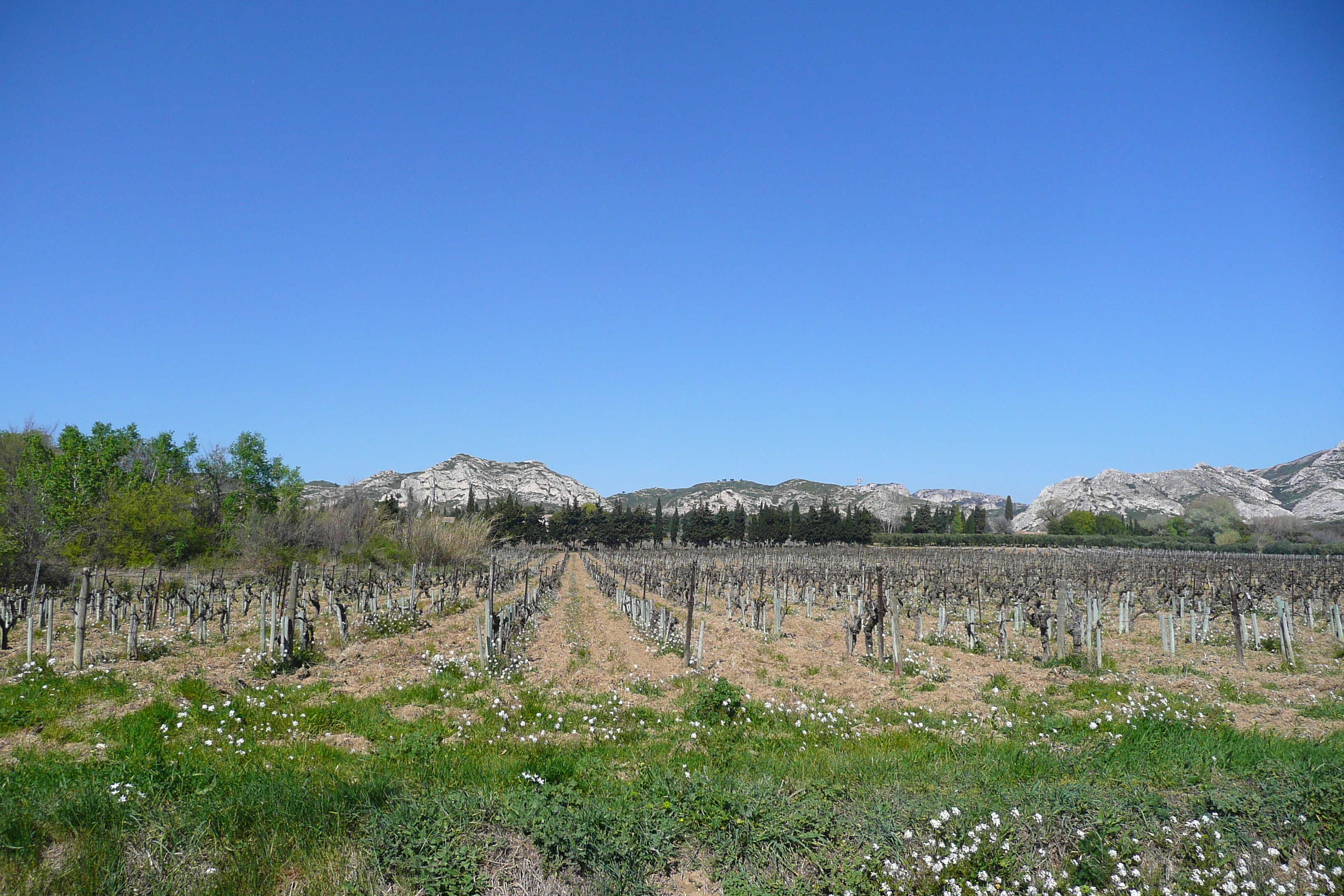 รูปถ่าย ฝรั่งเศส(France) โพรว็องส์(Provence) ถนนจากมูรีแยสไปโบเดอโพรว็องส์(Mouries to Baux de Provence road) 2008-04 7