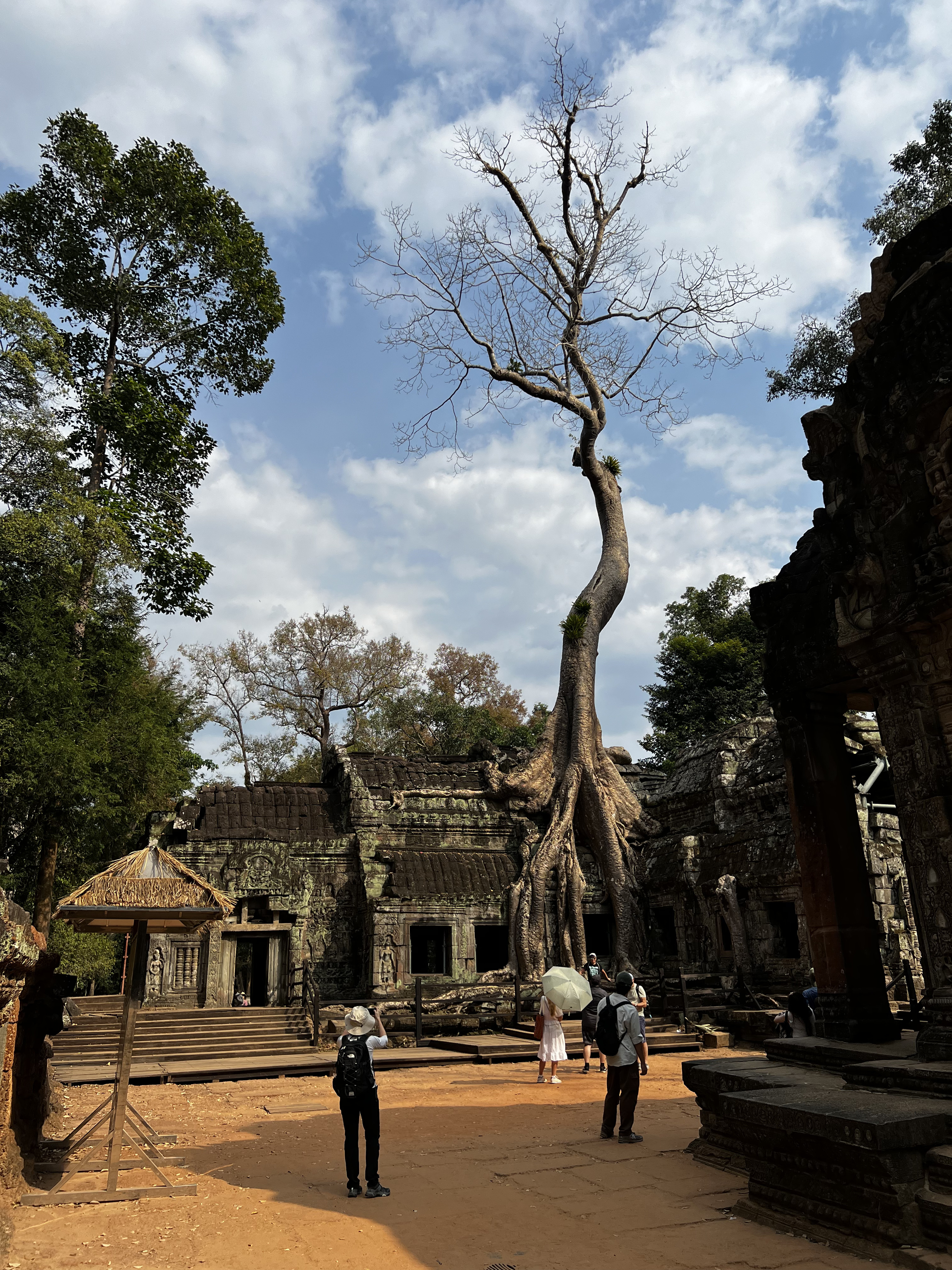 รูปถ่าย กัมพูชา(Cambodia) เสียมราฐ(Siem Reap) ปราสาทตาพรหม(Ta Prohm) 2023-01 21