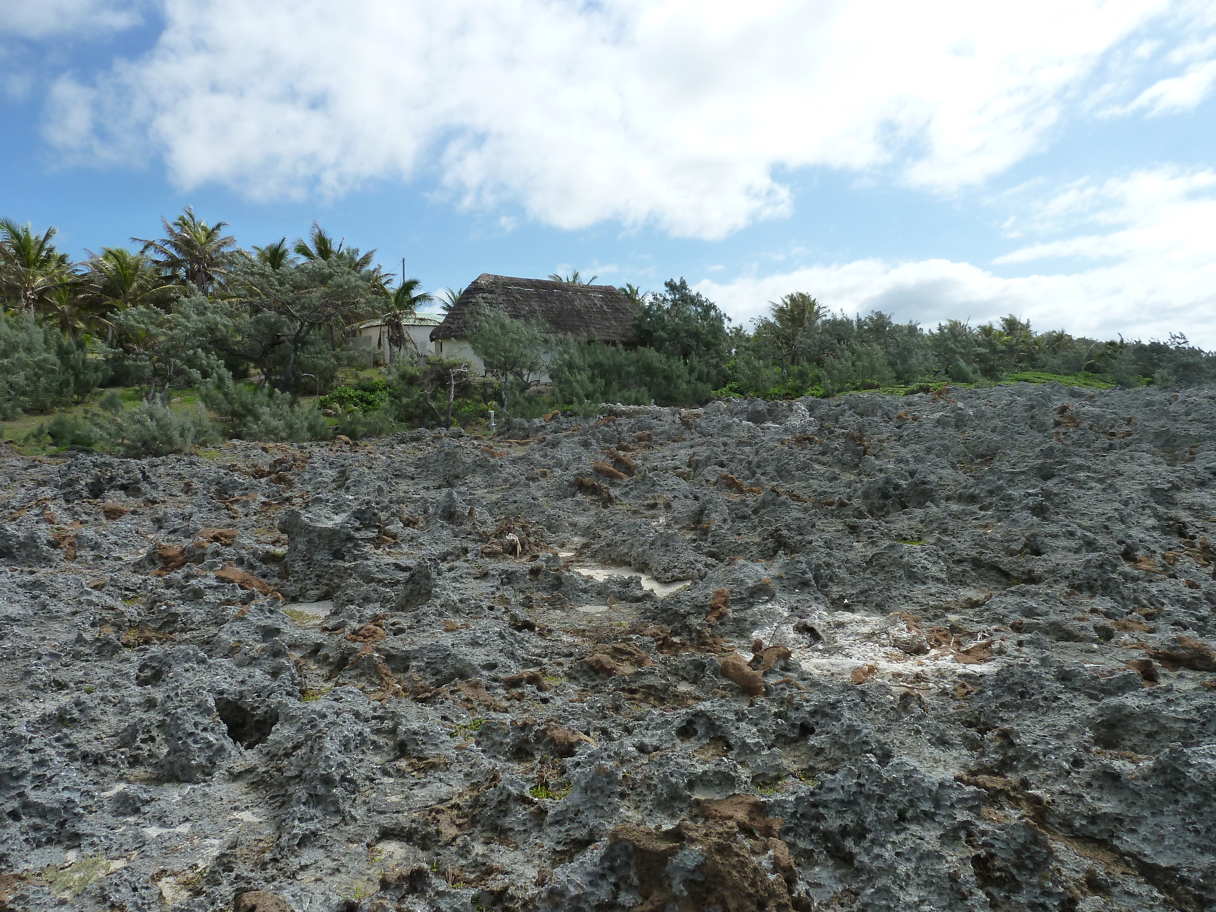รูปถ่าย นิวแคลิโดเนีย(New Caledonia) เกาะลีฟู(Lifou) หน้าผาโซเดร(Xodre Cliffs) 2010-05 24