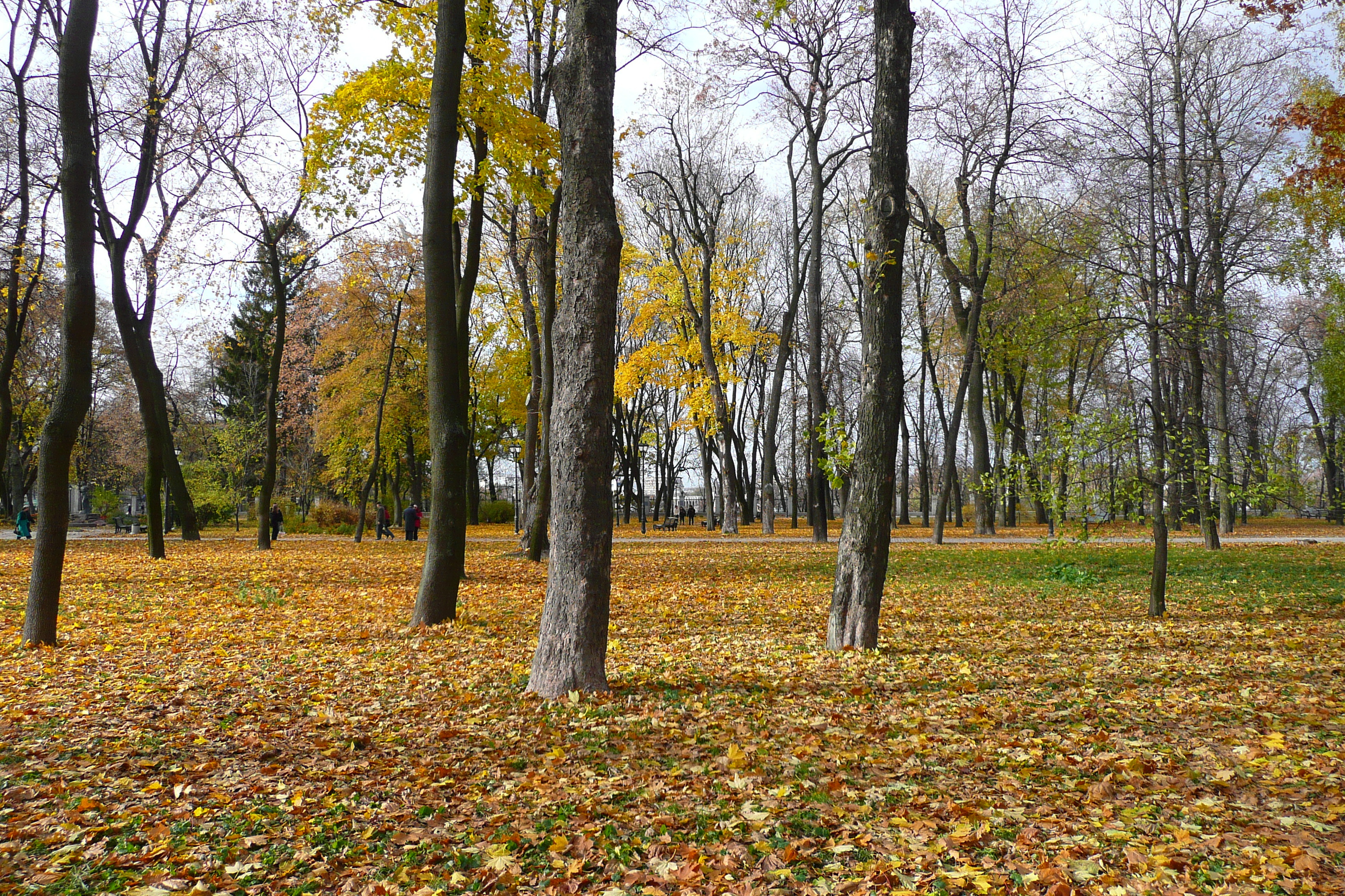 รูปถ่าย ยูเครน(Ukraine) เคียฟ(Kiev) มารีอินสกี้(Mariinsky) 2007-11 9