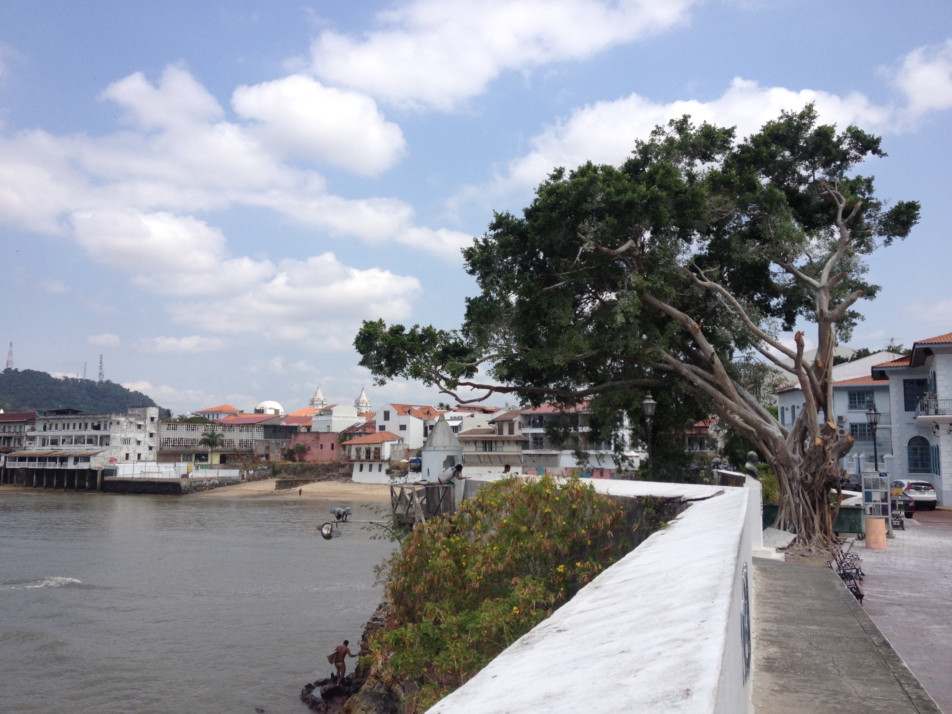 รูปถ่าย ปานามา(Panama) ปานามาซิตี(Panama City) 2015-03 128