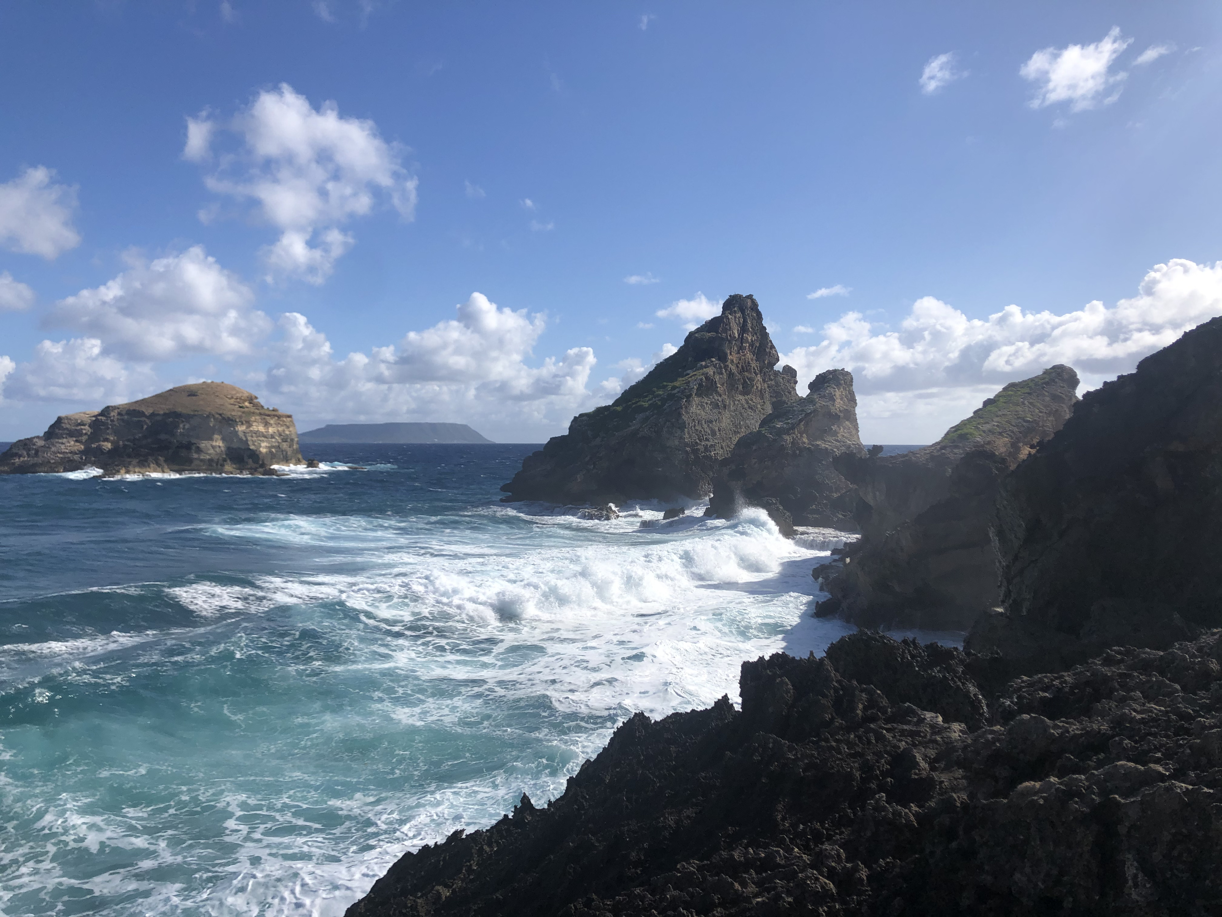 รูปถ่าย กวาเดอลูป(Guadeloupe) แหลมคาสเซิลพอยต์(Castle Point) 2021-02 269