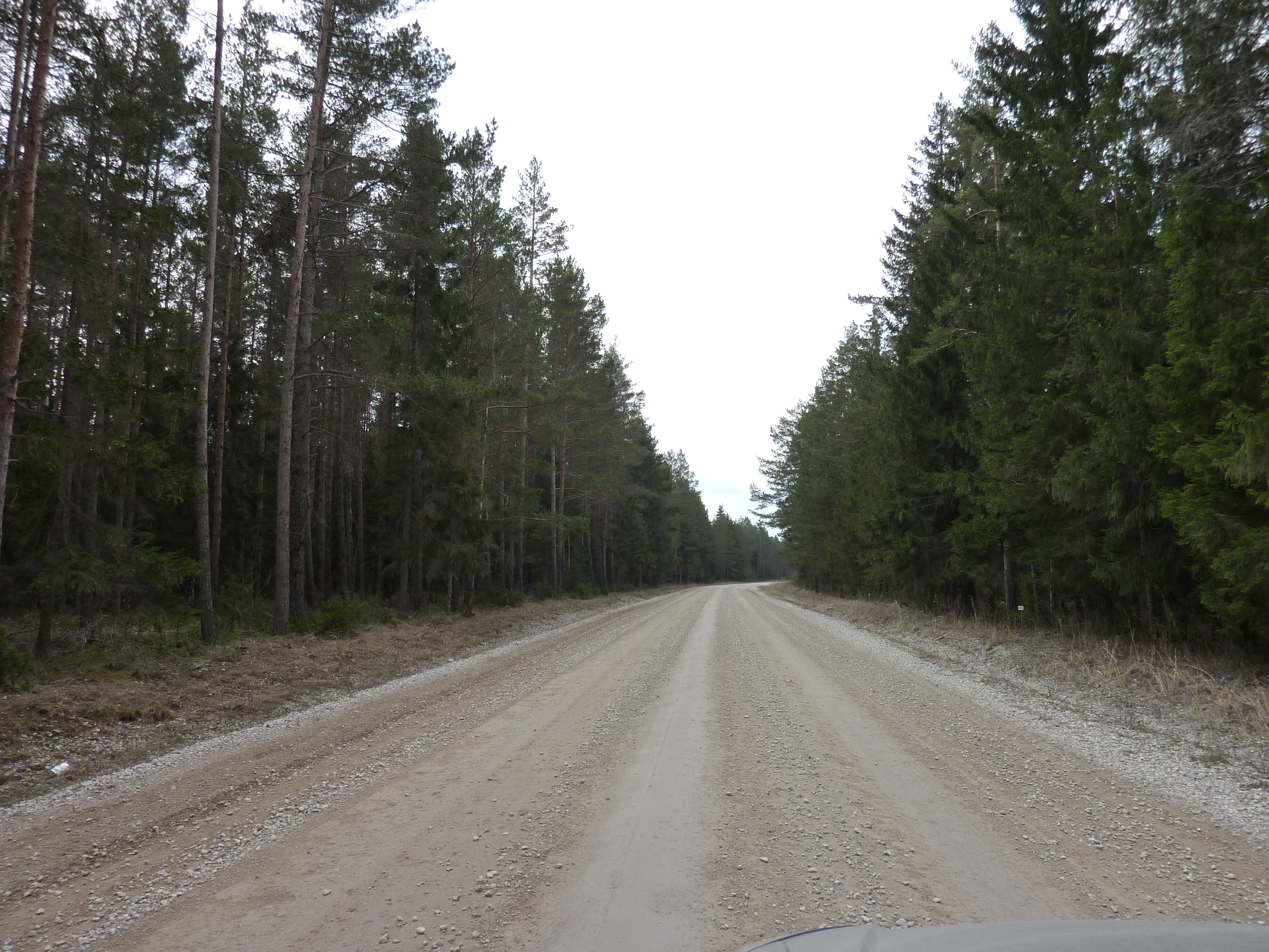 รูปถ่าย เอสโตเนีย(Estonia) ถนนจากทาลลินน์ไปฮาปซาลู(Tallinn to Haapsalu road) 2009-04 18