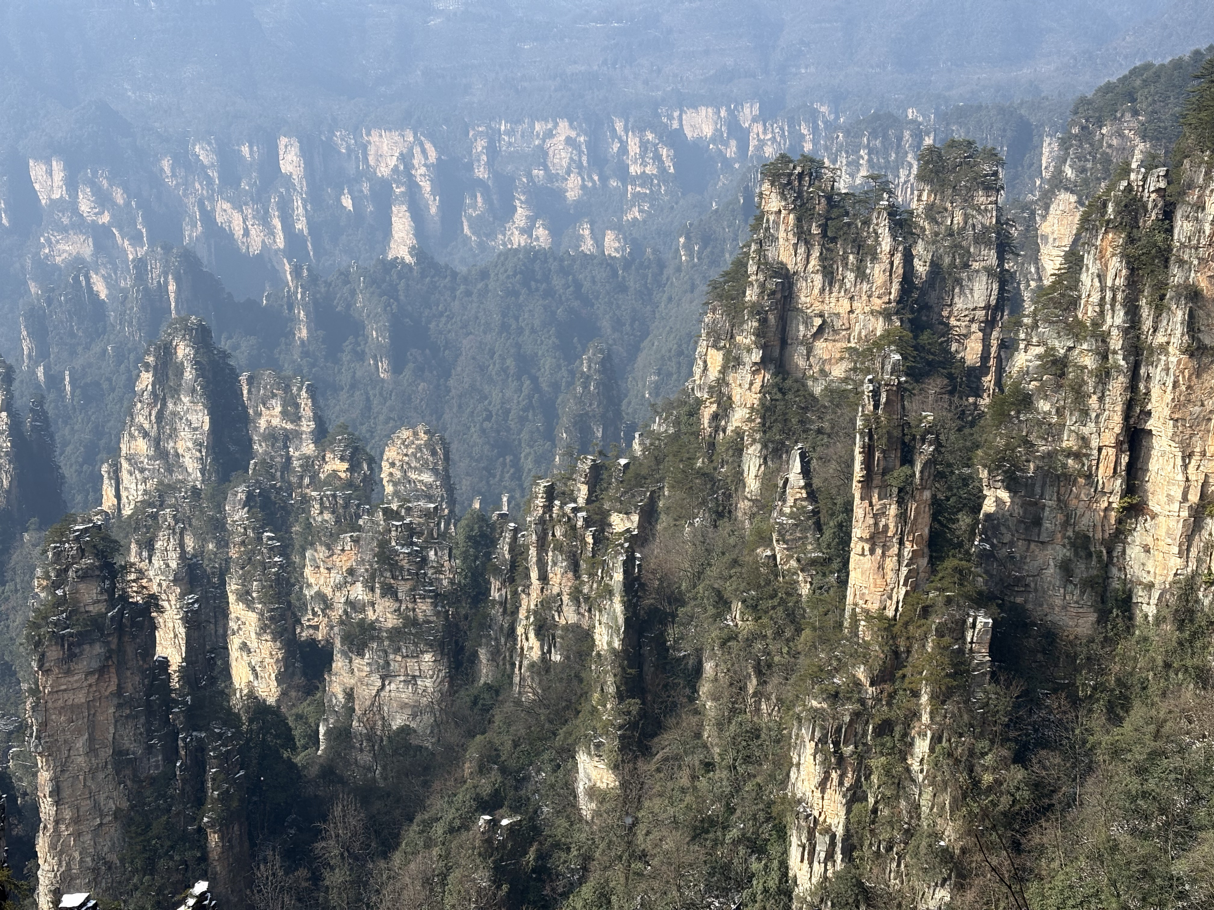 รูปถ่าย จีน(China) จางเจียเจี้ย(Zhangjiajie) ภูเขาเทียนจื่อ(Tianzi Mountain) 2026-01 345