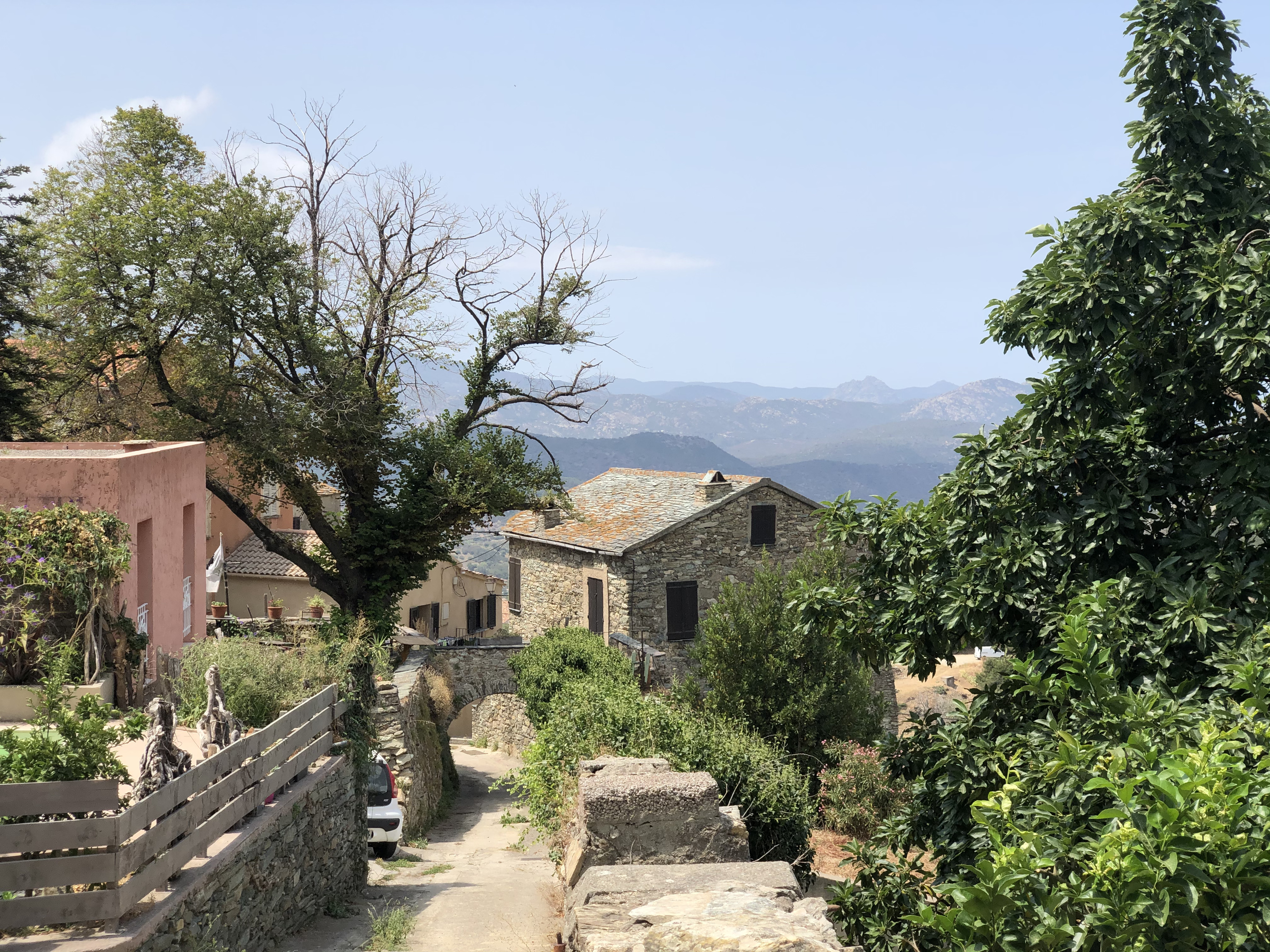 รูปถ่าย ฝรั่งเศส(France) คอร์สิคา(Corsica) แซ็งฟลอร็อง(Saint Florent) 2021-08 0