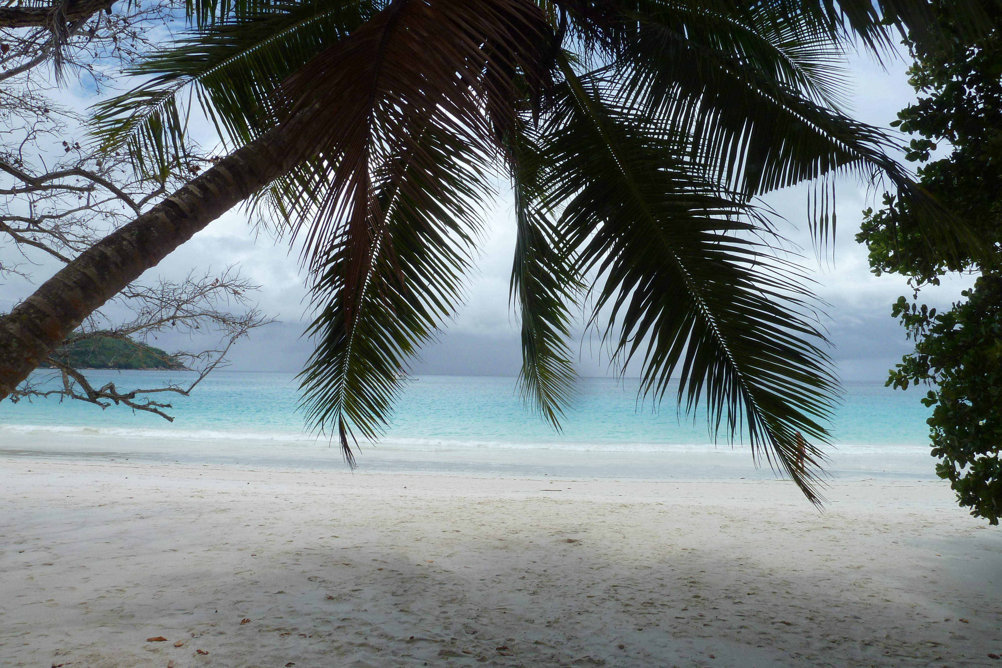 รูปถ่าย เซเชลส์(Seychelles) เกาะปราลิน(Praslin) 2011-10 165
