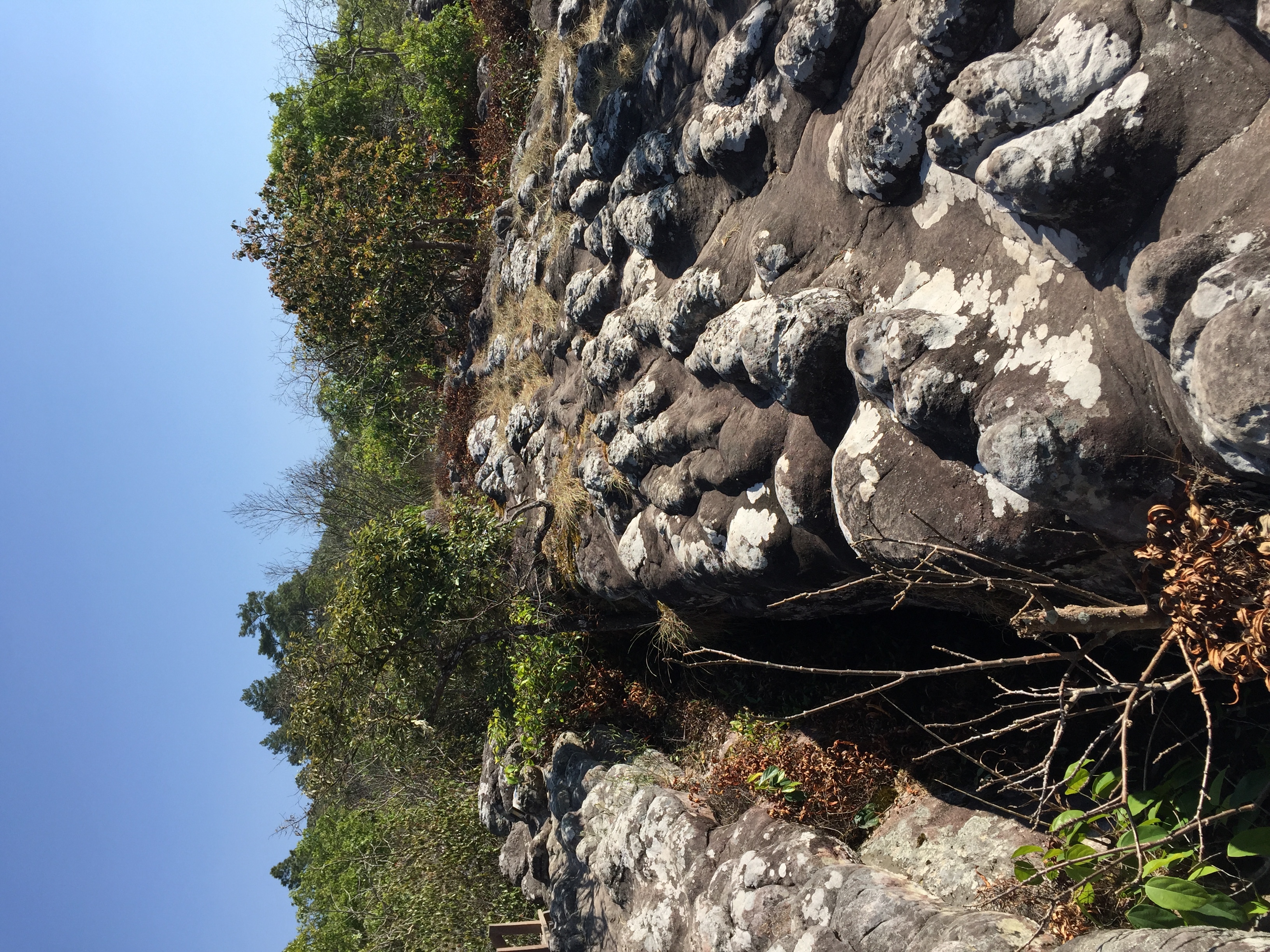 รูปถ่าย ไทย(Thailand) อุทยานแห่งชาติภูหินร่องกล้า(Phu Hin Rong Kla National Park) 2014-12 54