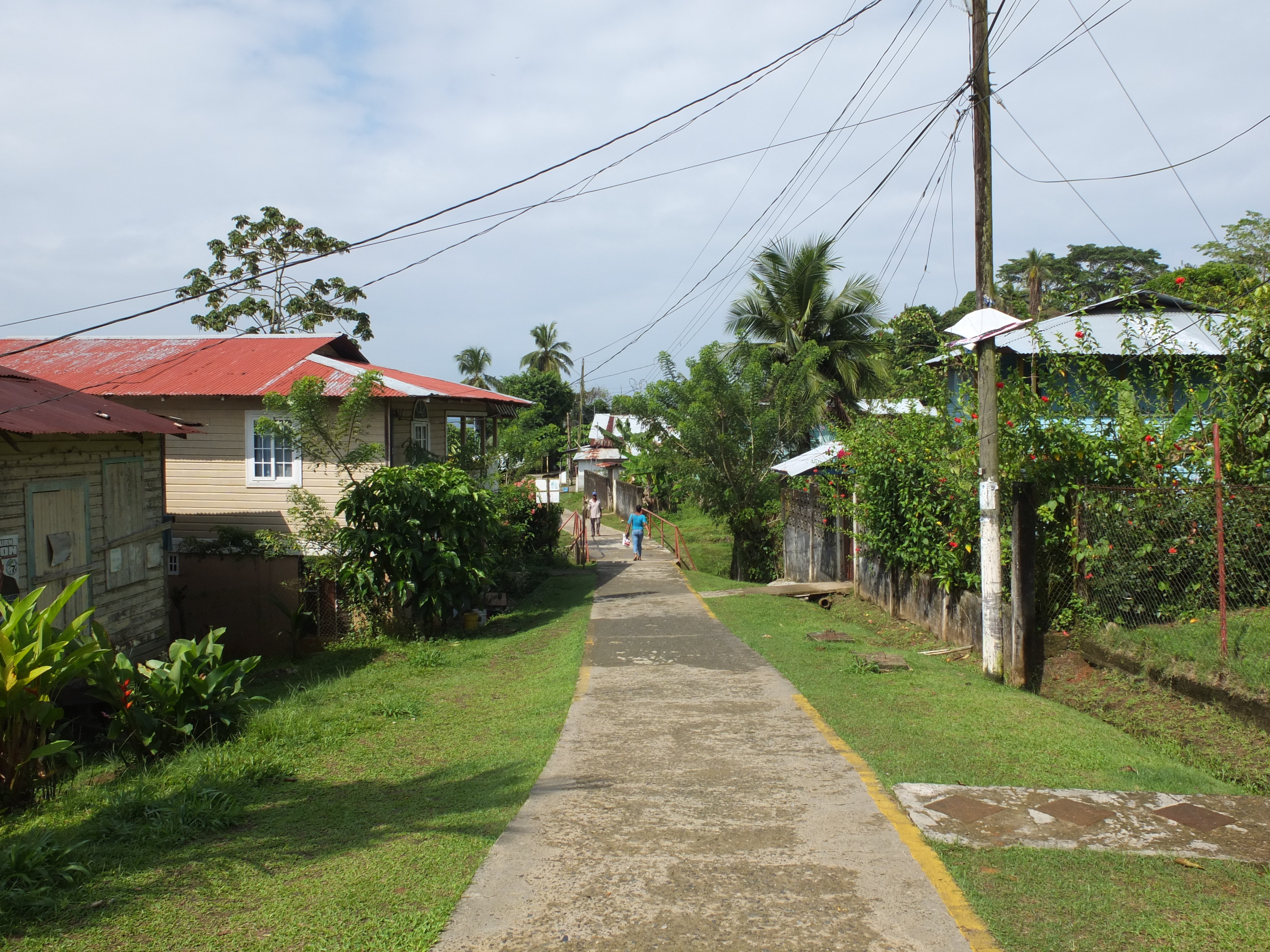 รูปถ่าย ปานามา(Panama) เกาะบาสติเมนโตส(Bastimentos) 2015-03 38