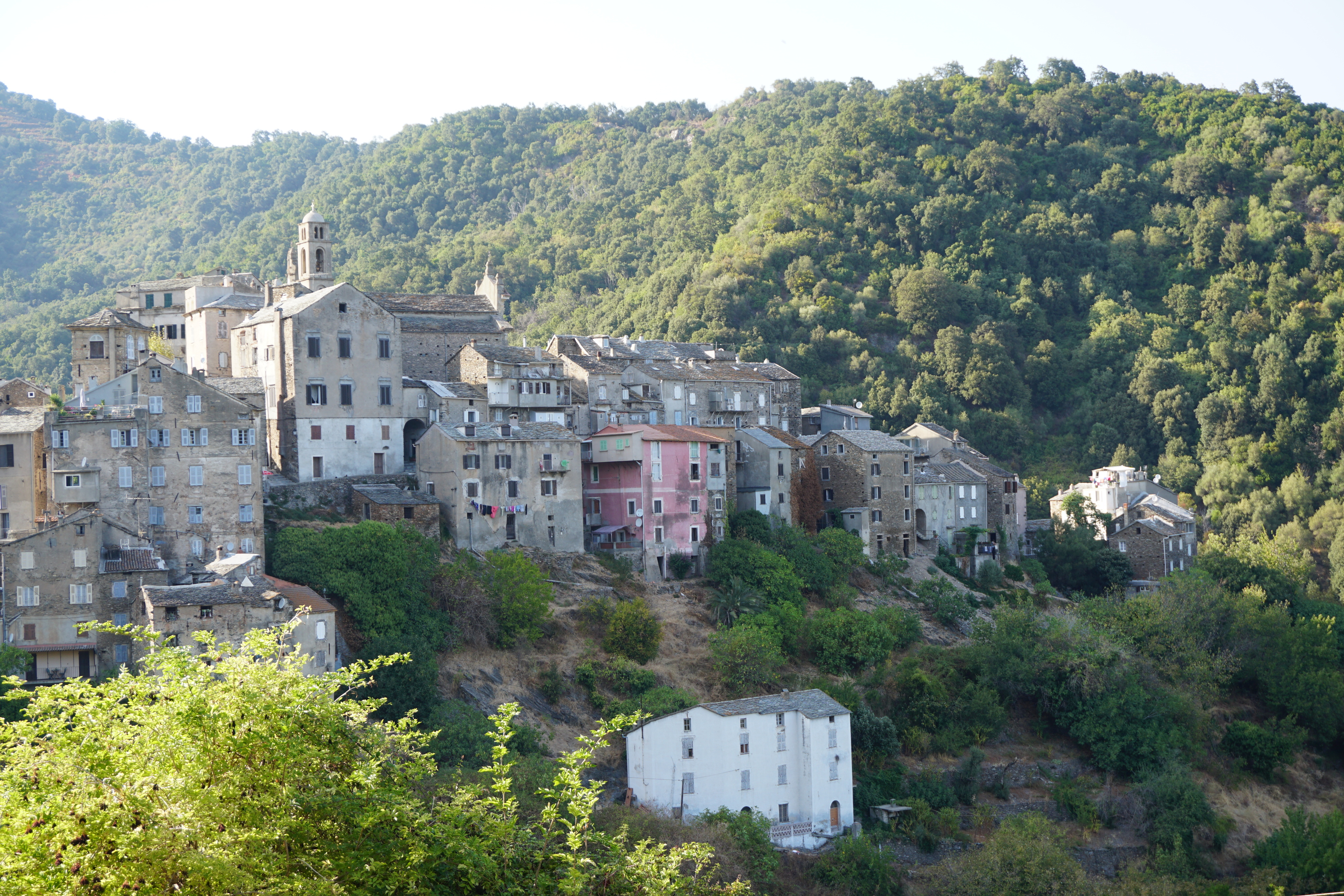 รูปถ่าย ฝรั่งเศส(France) คอร์สิคา(Corsica) เวสโกวาโต(Vescovato) 2017-09 5