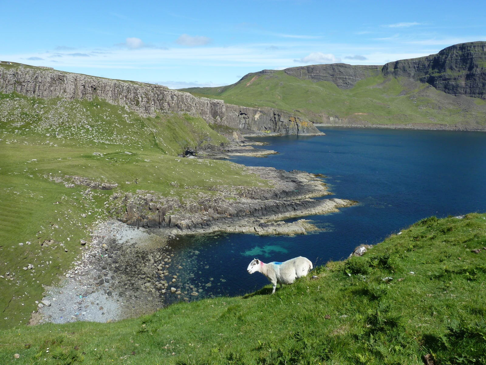 รูปถ่าย อังกฤษ(United Kingdom) เกาะสกาย(Skye) แหลมนีสต์พอยต์(Neist Point) 2011-07 34